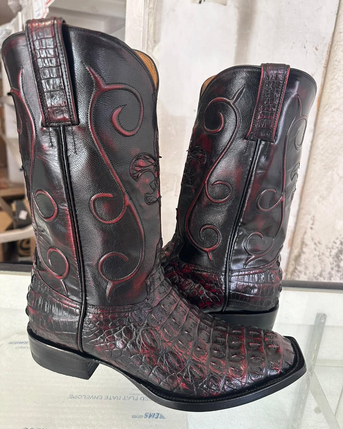 Crocodile Hornback cut 1