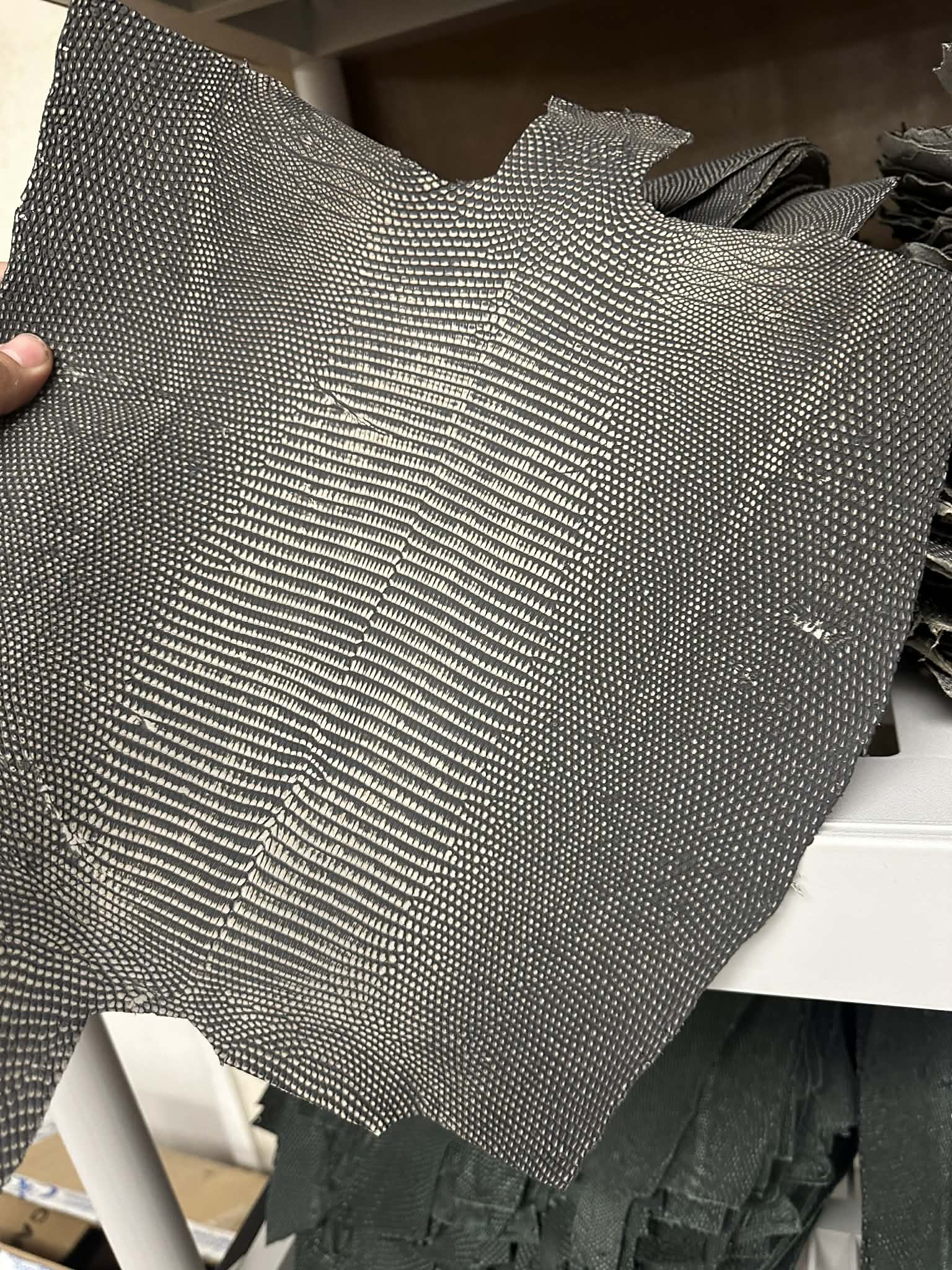 Lizard Teju cut 2