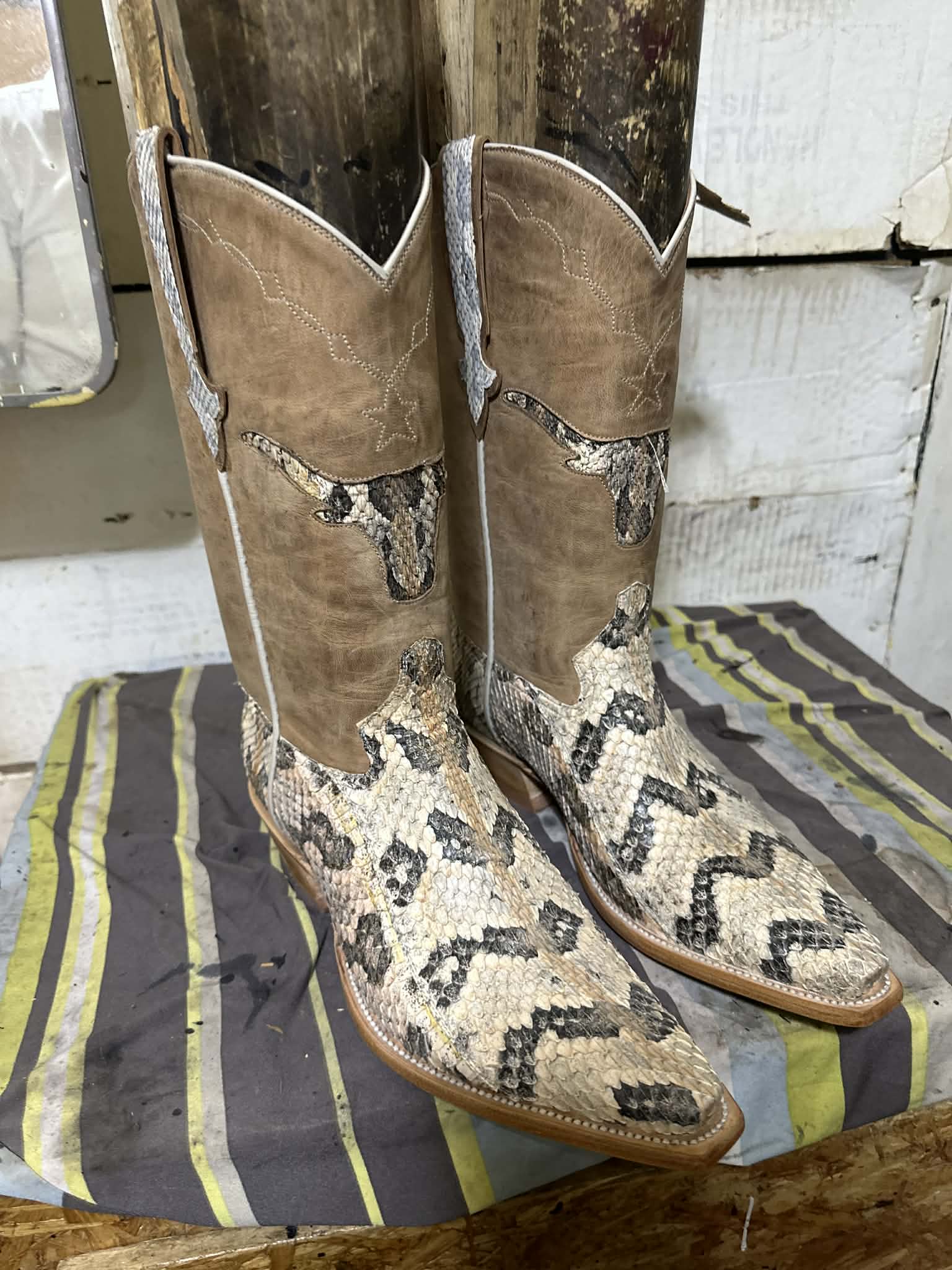 Rattlesnake Canebrake cut 1
