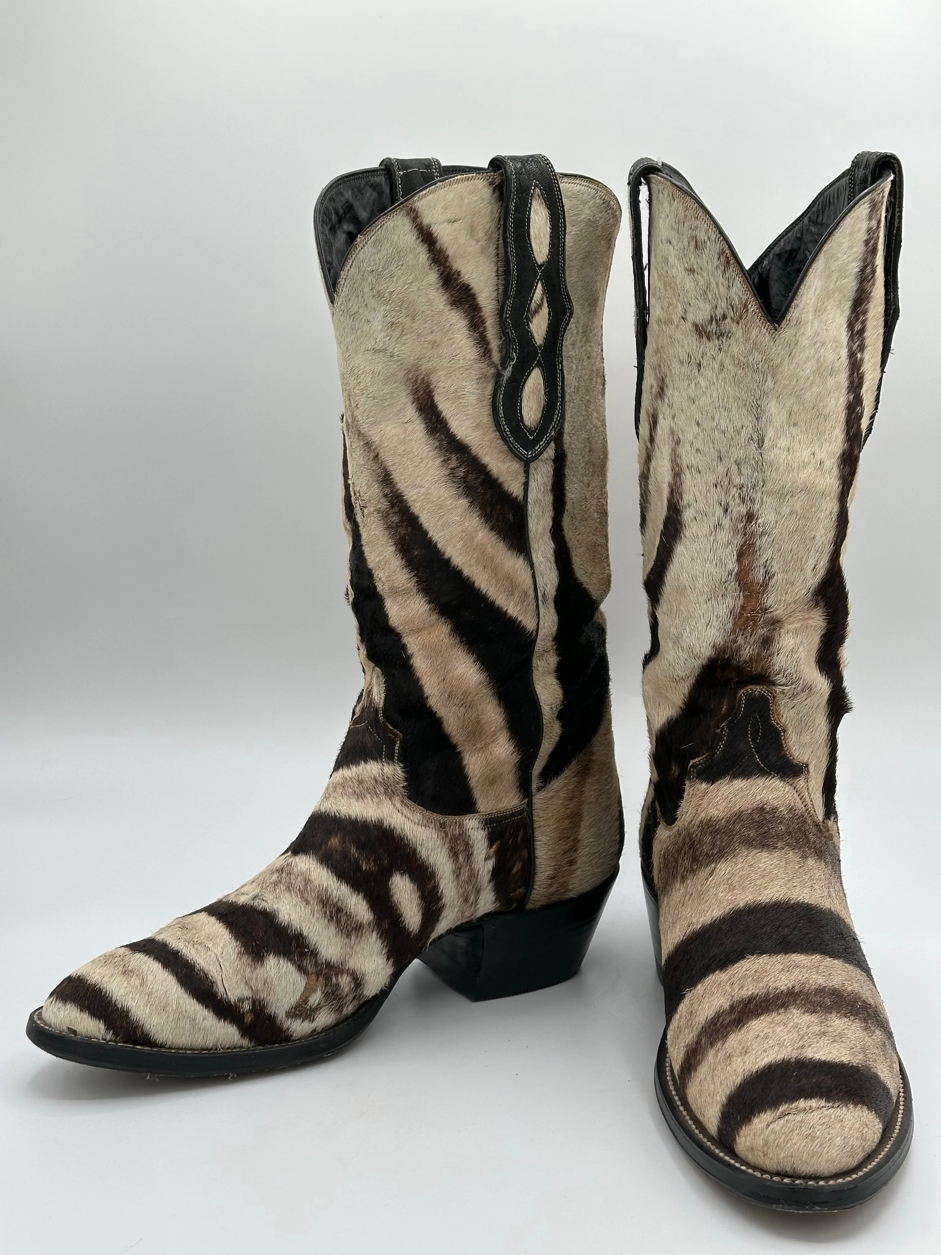 Zebra real example 6