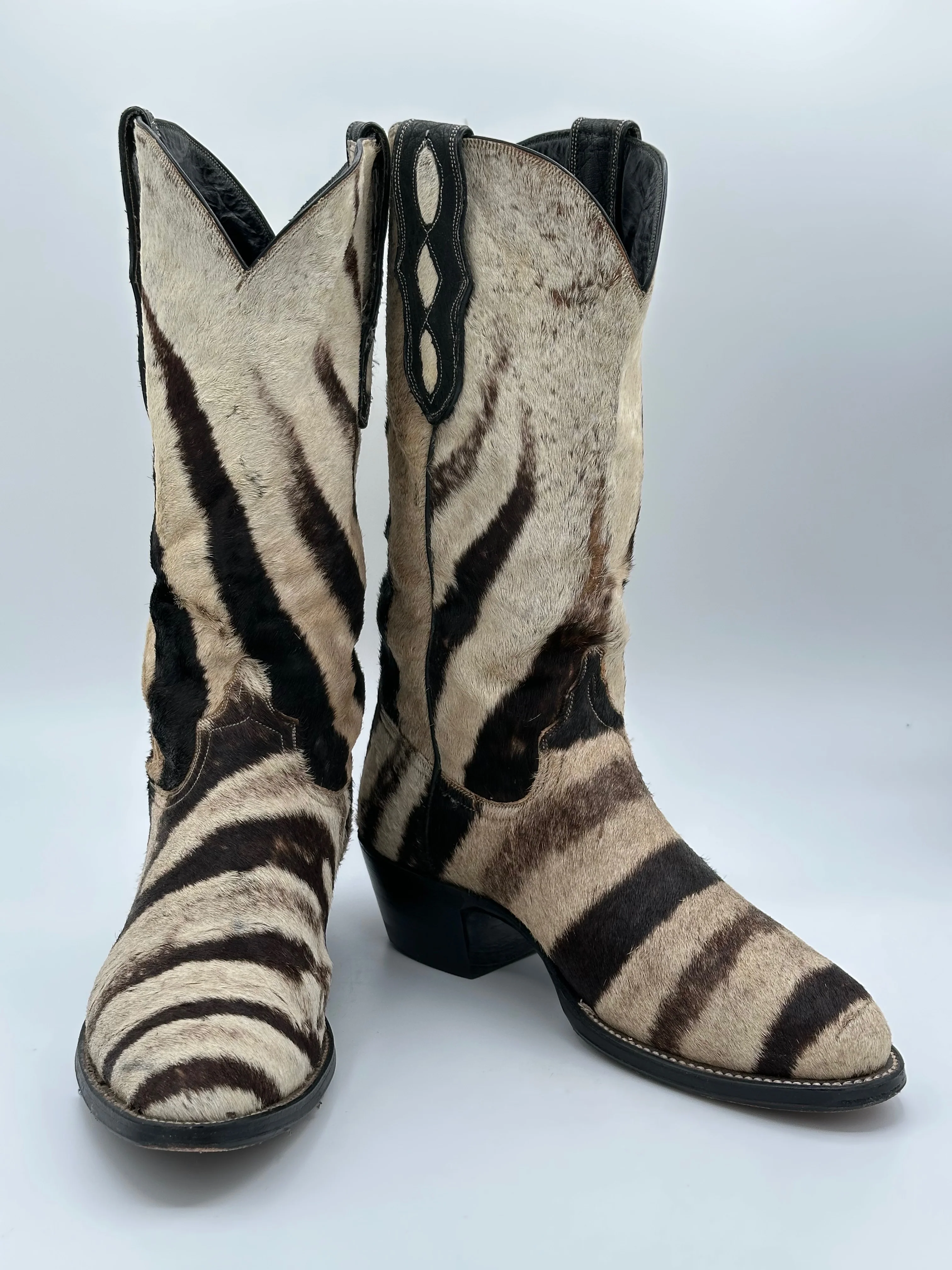 Zebra real example 4