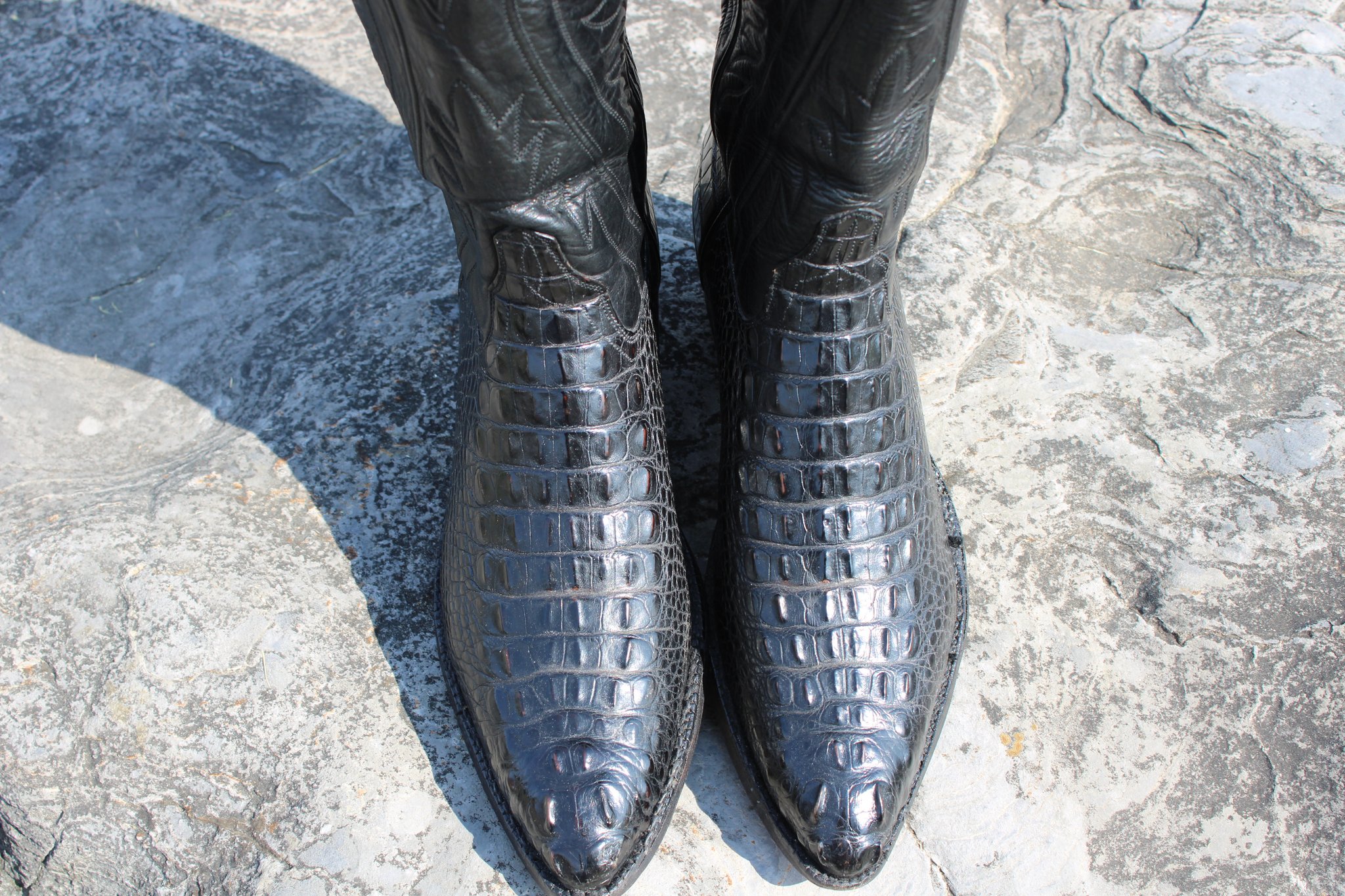 Ammons 23 Ammons Black American Alligator Headcut 490