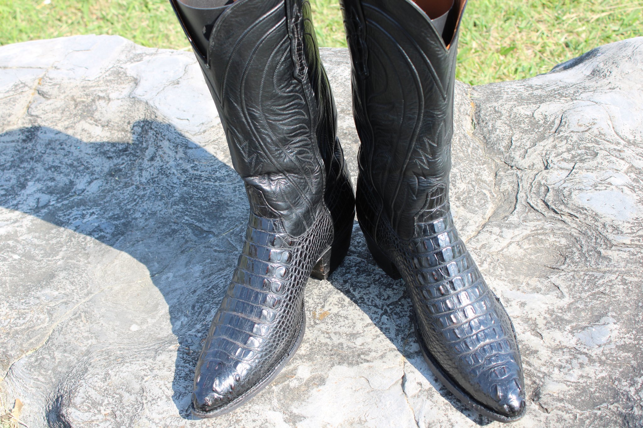 Ammons 23 Ammons Black American Alligator Headcut 490