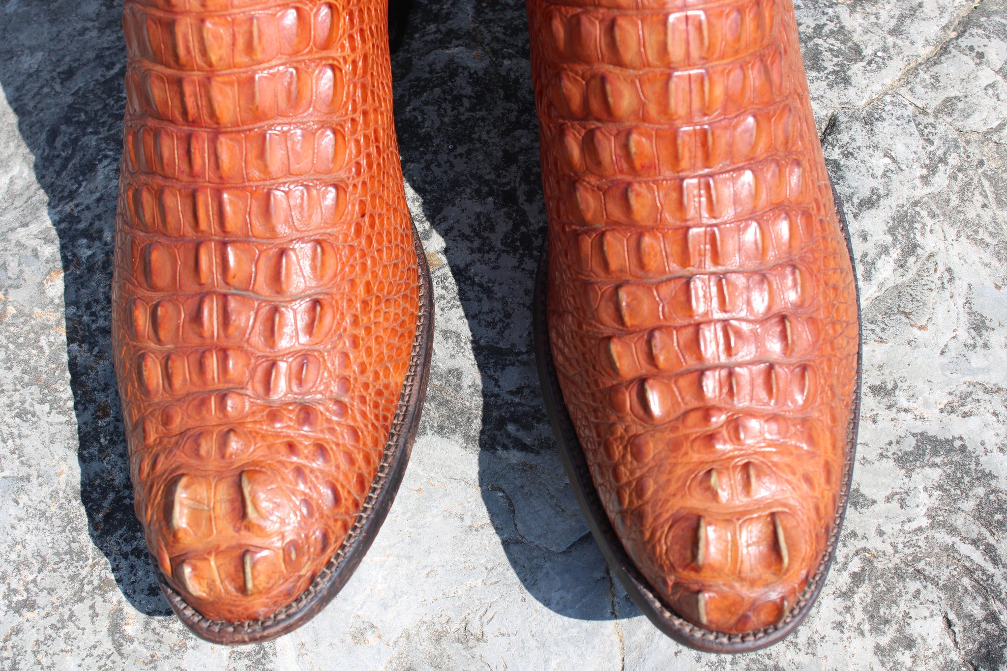 Ammons Ammons Brown Alligator Headcut 412