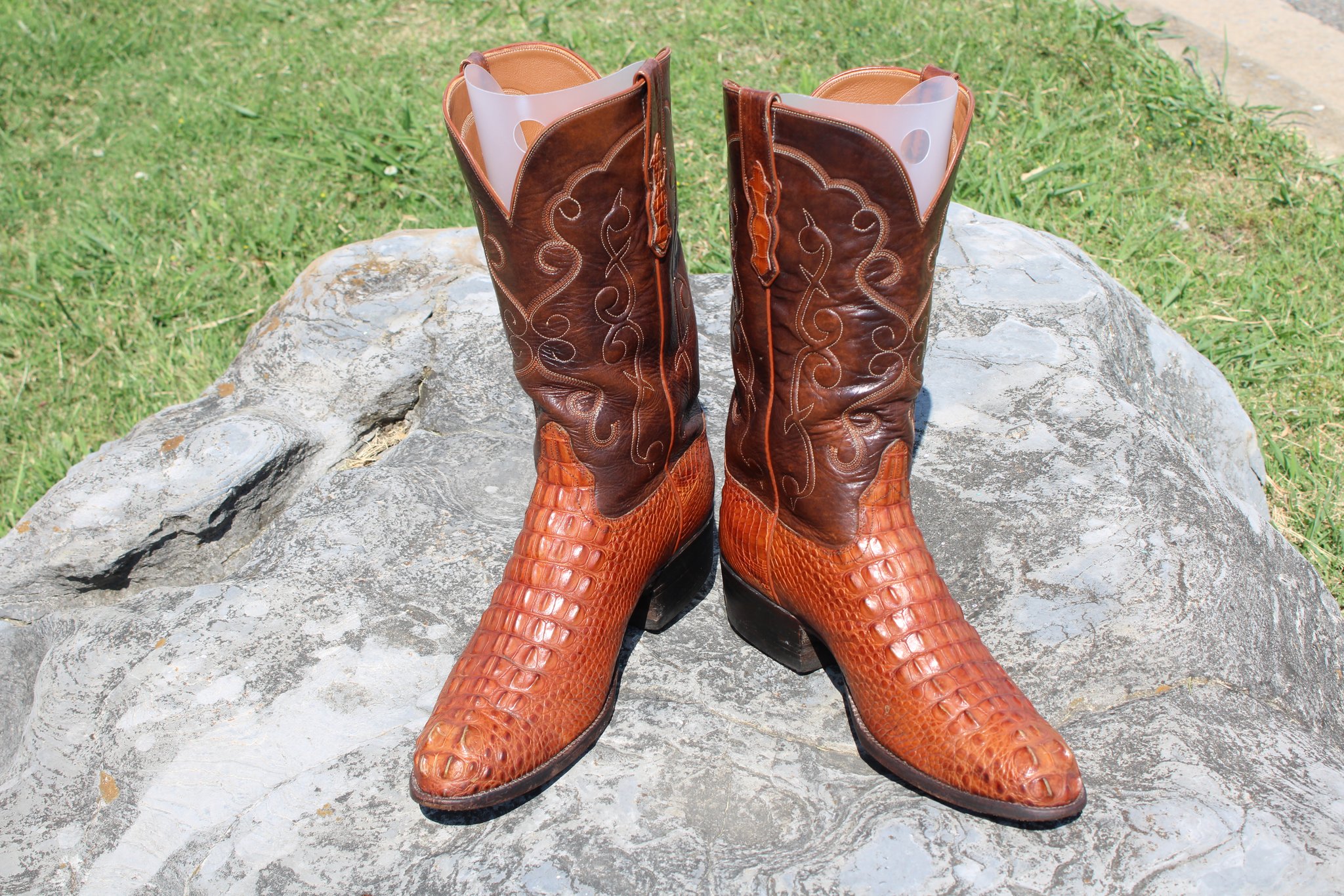 Ammons Ammons Brown Alligator Headcut 412