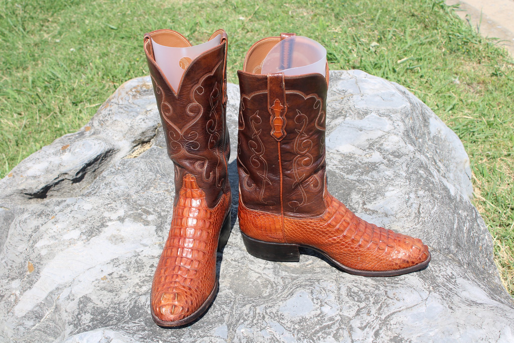 Ammons Ammons Brown Alligator Headcut 412