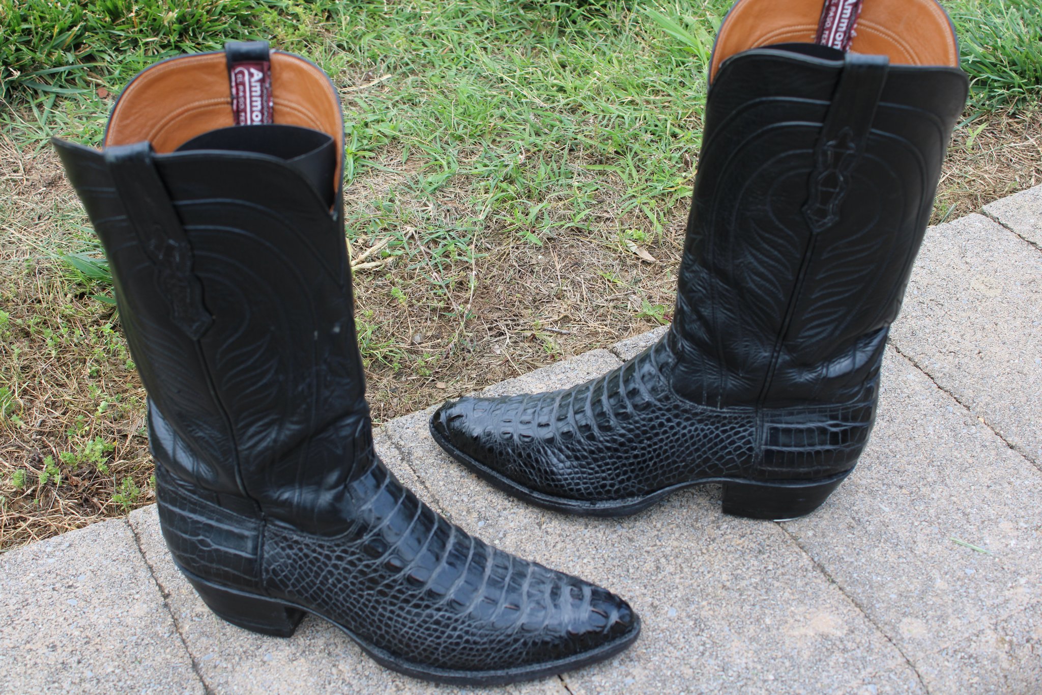 Ammons Black Alligator Headcut 9 D