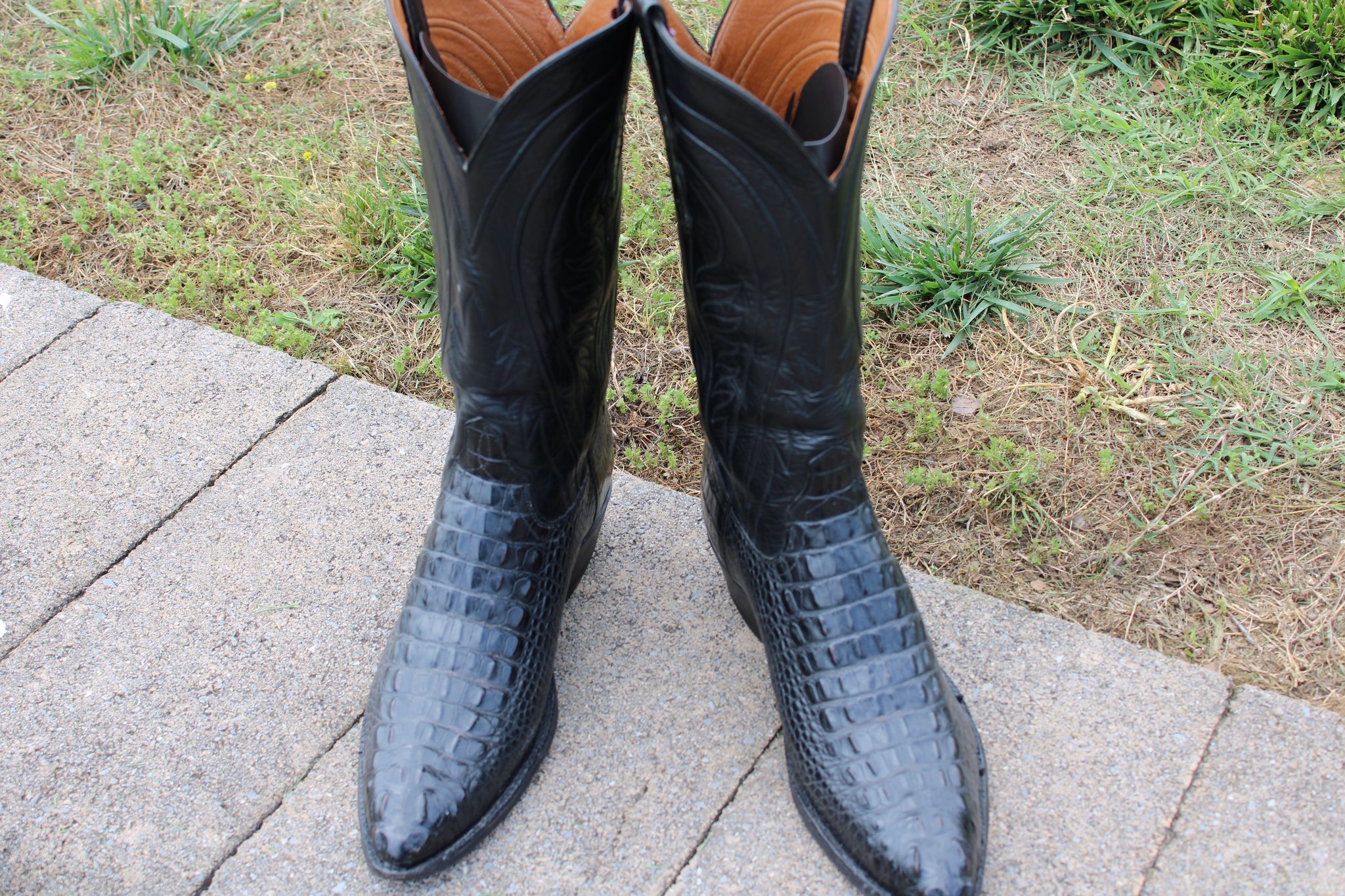 Ammons Black Alligator Headcut 9 D