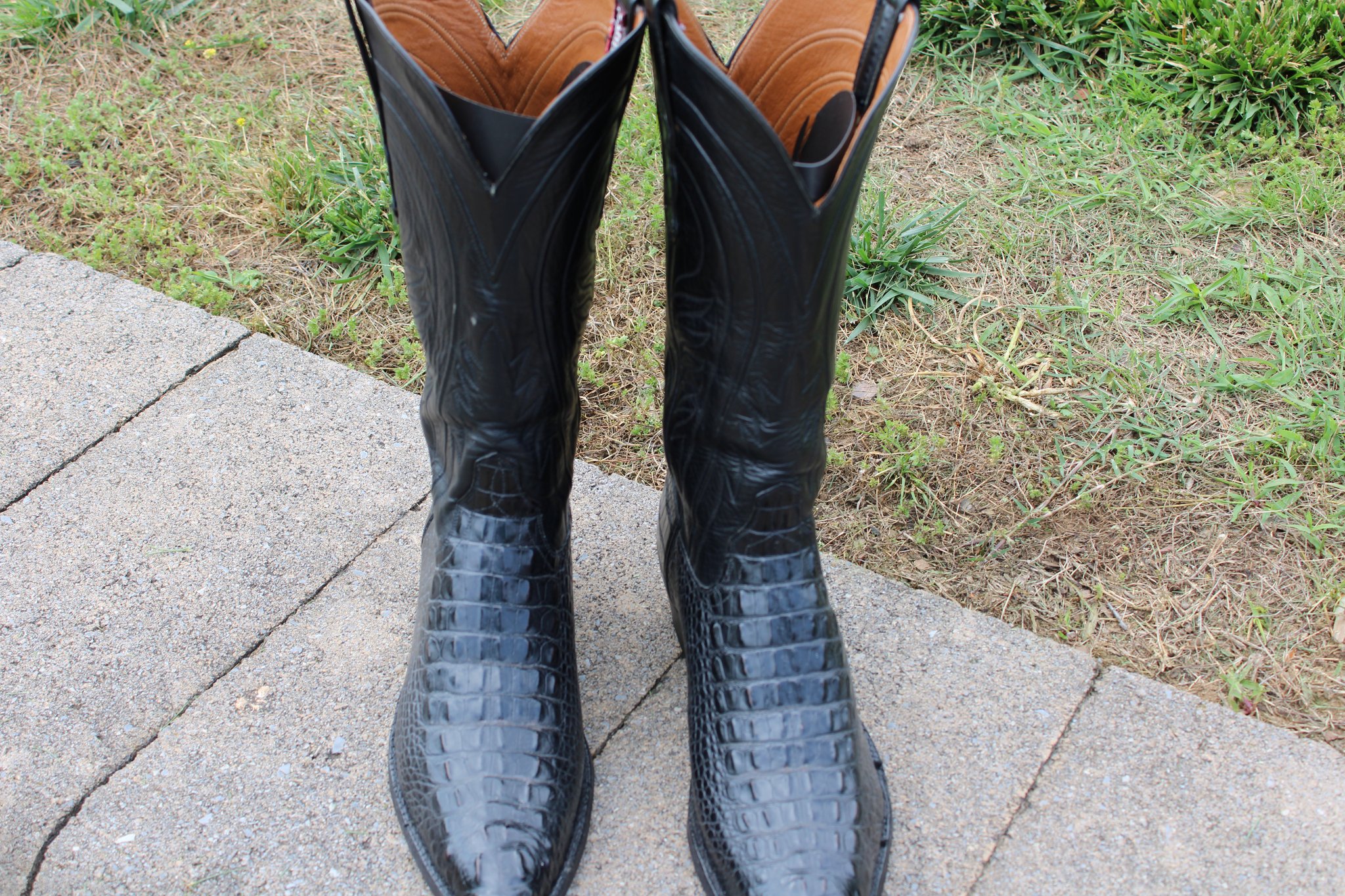 Ammons Black Alligator Headcut 9 D