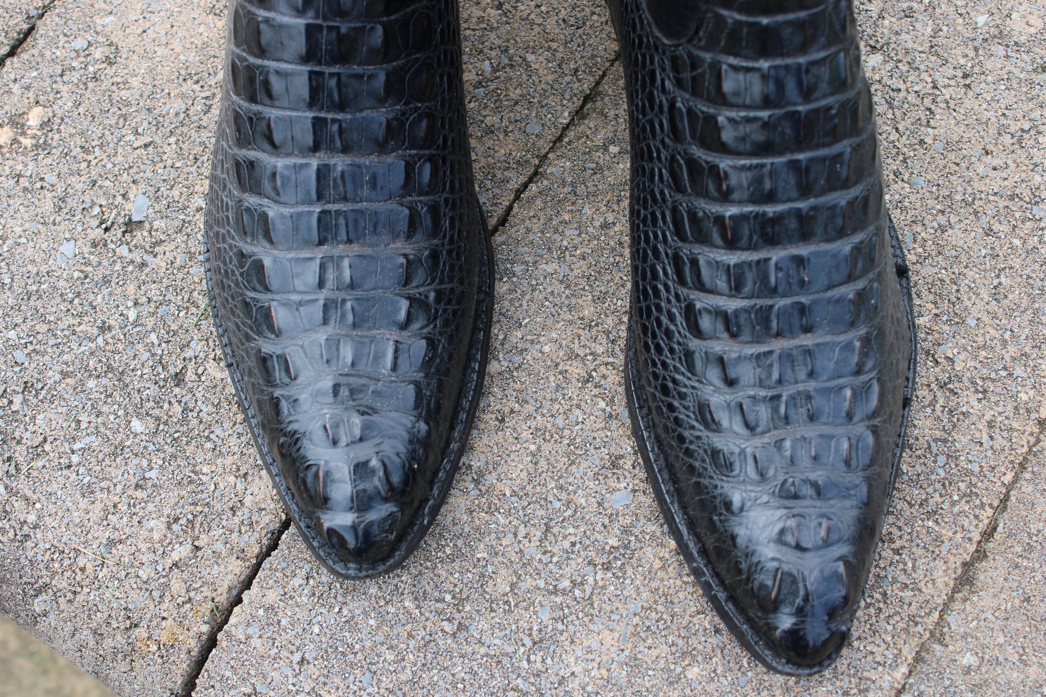Ammons Black Alligator Headcut 9 D