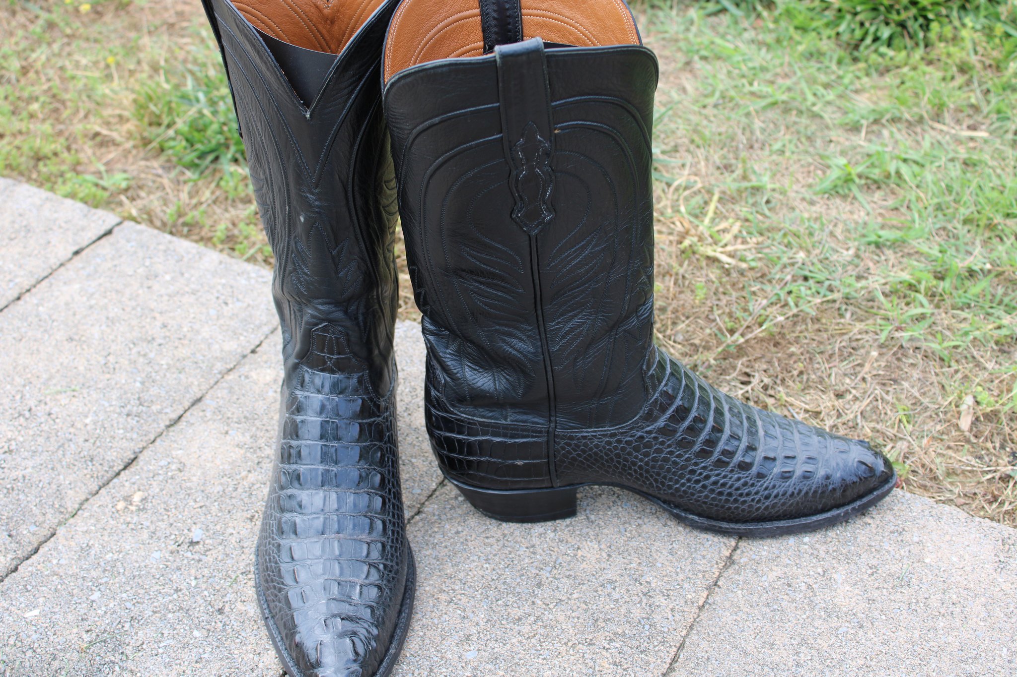 Ammons Black Alligator Headcut 9 D