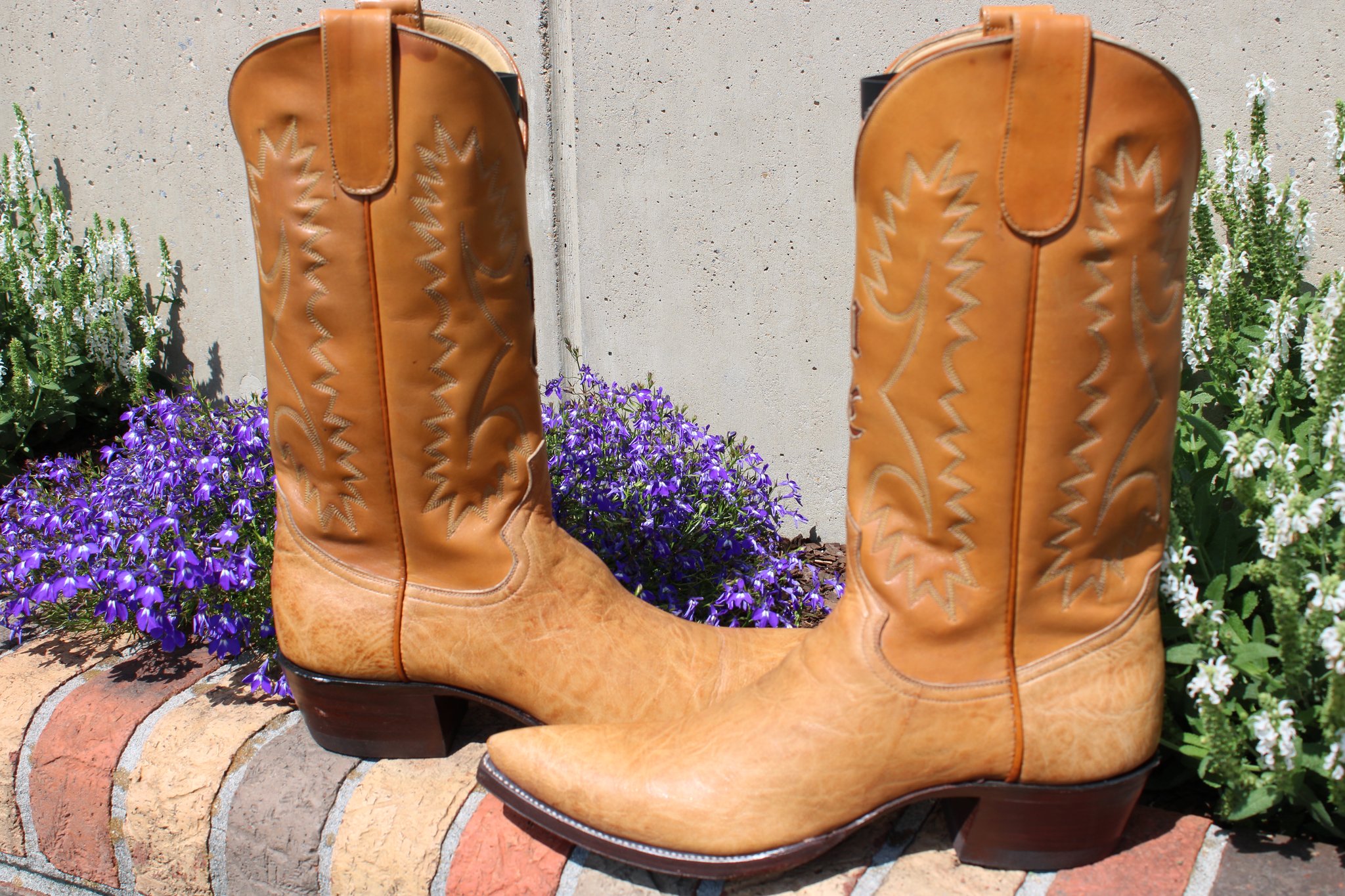 Ayers Ayers Smooth Ostrich 9 D