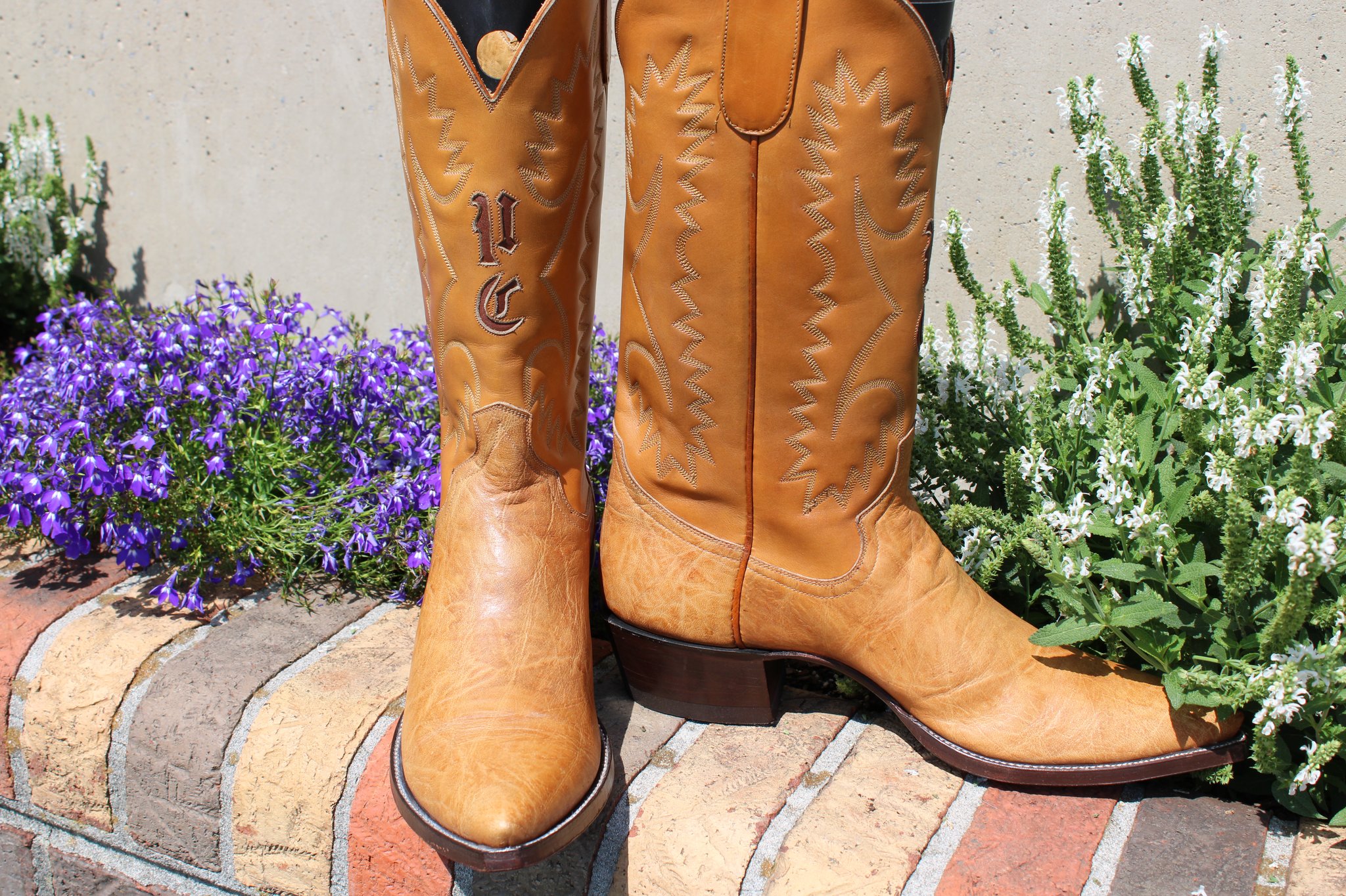 Ayers Ayers Smooth Ostrich 9 D