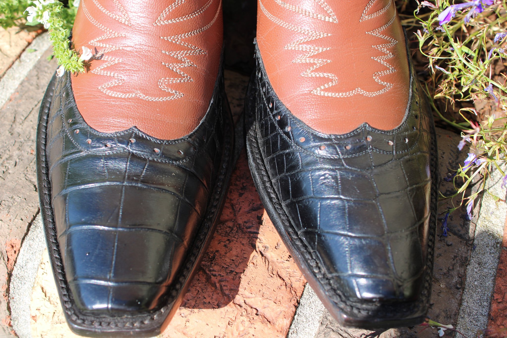 Caboots Caboots Gator Wingtip 490
