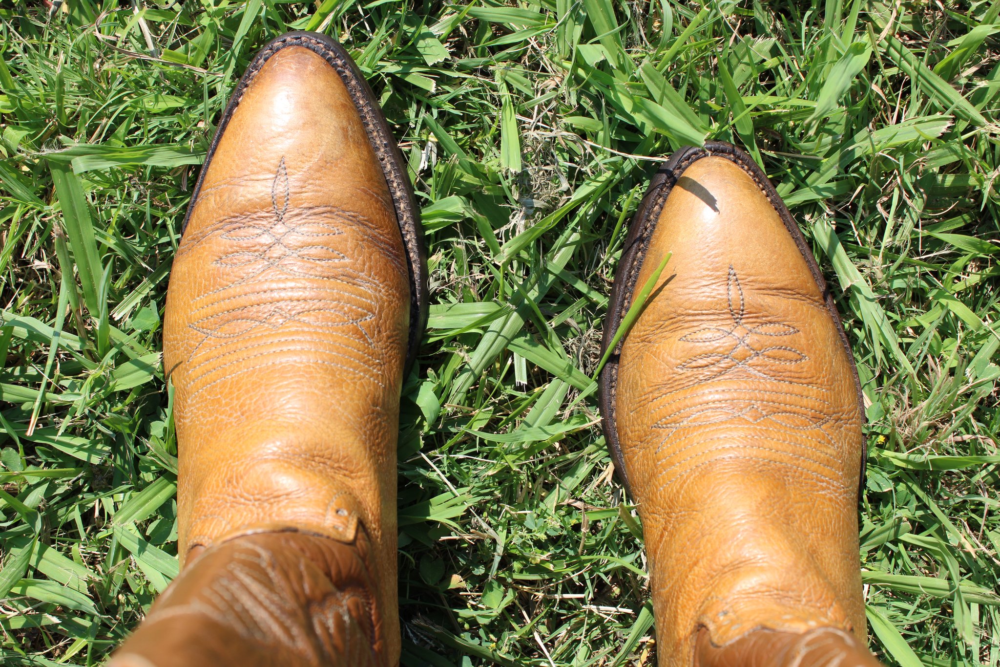 Hondo Hondo Tan Bullhide 210