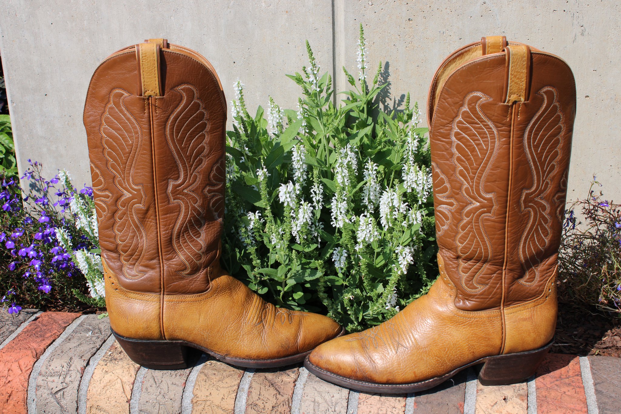Hondo Hondo Tan Bullhide 210
