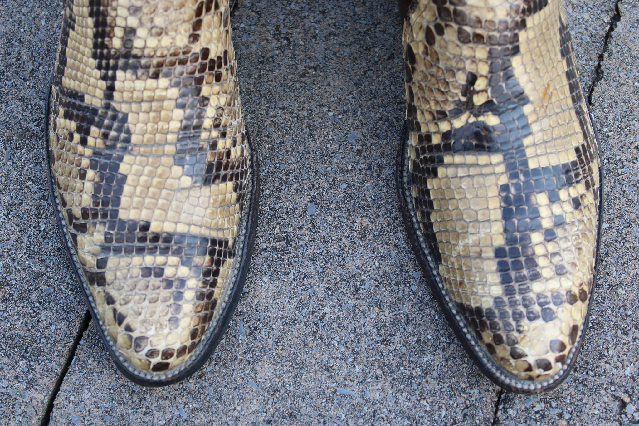 Python Belly cut 3