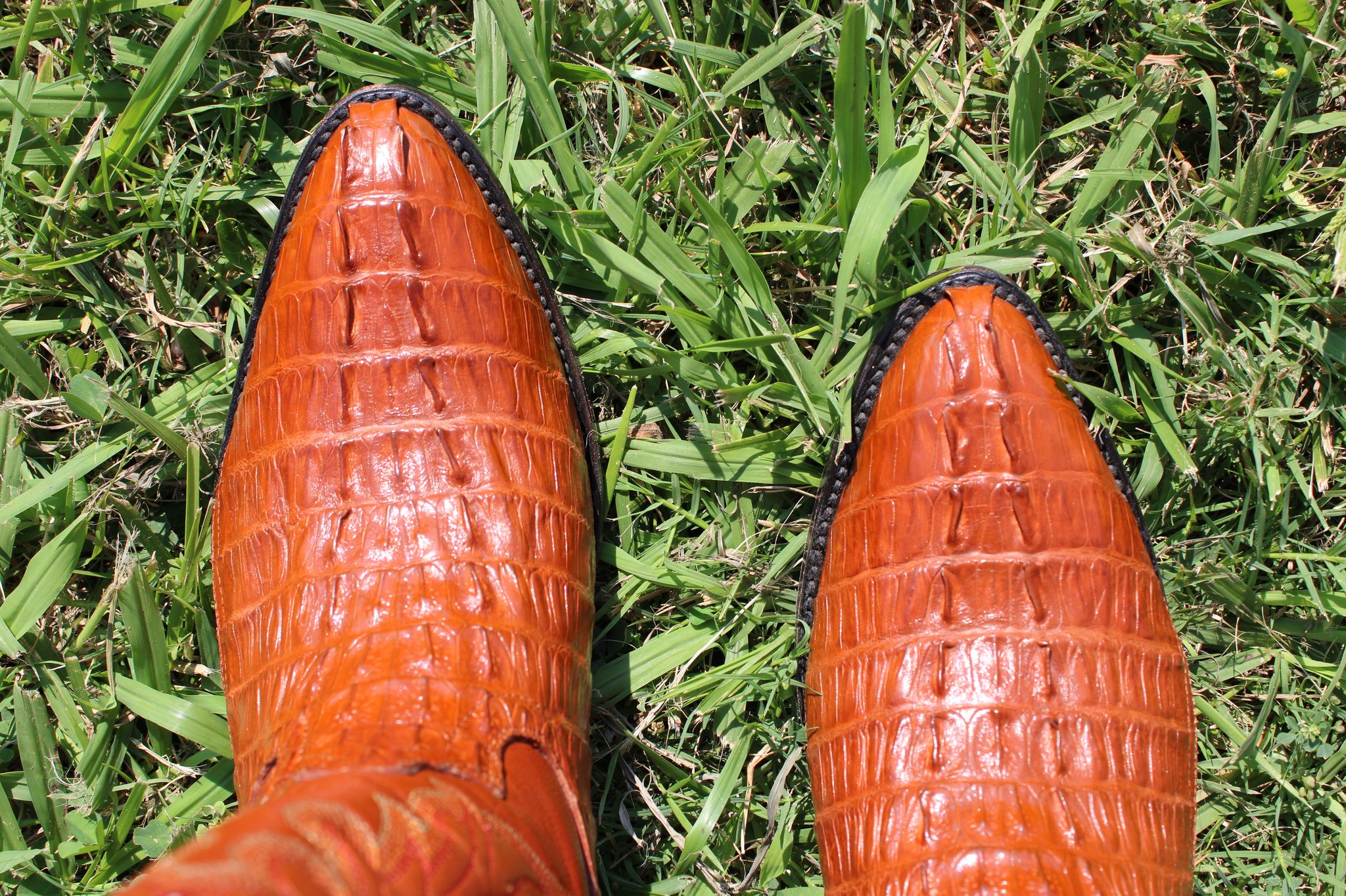 LE VER LE VER Cognac Caiman 495