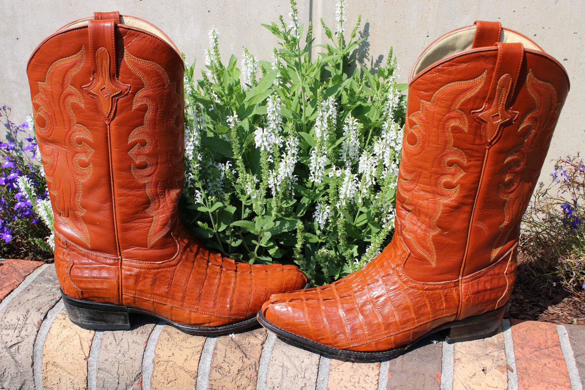 LE VER LE VER Cognac Caiman 495