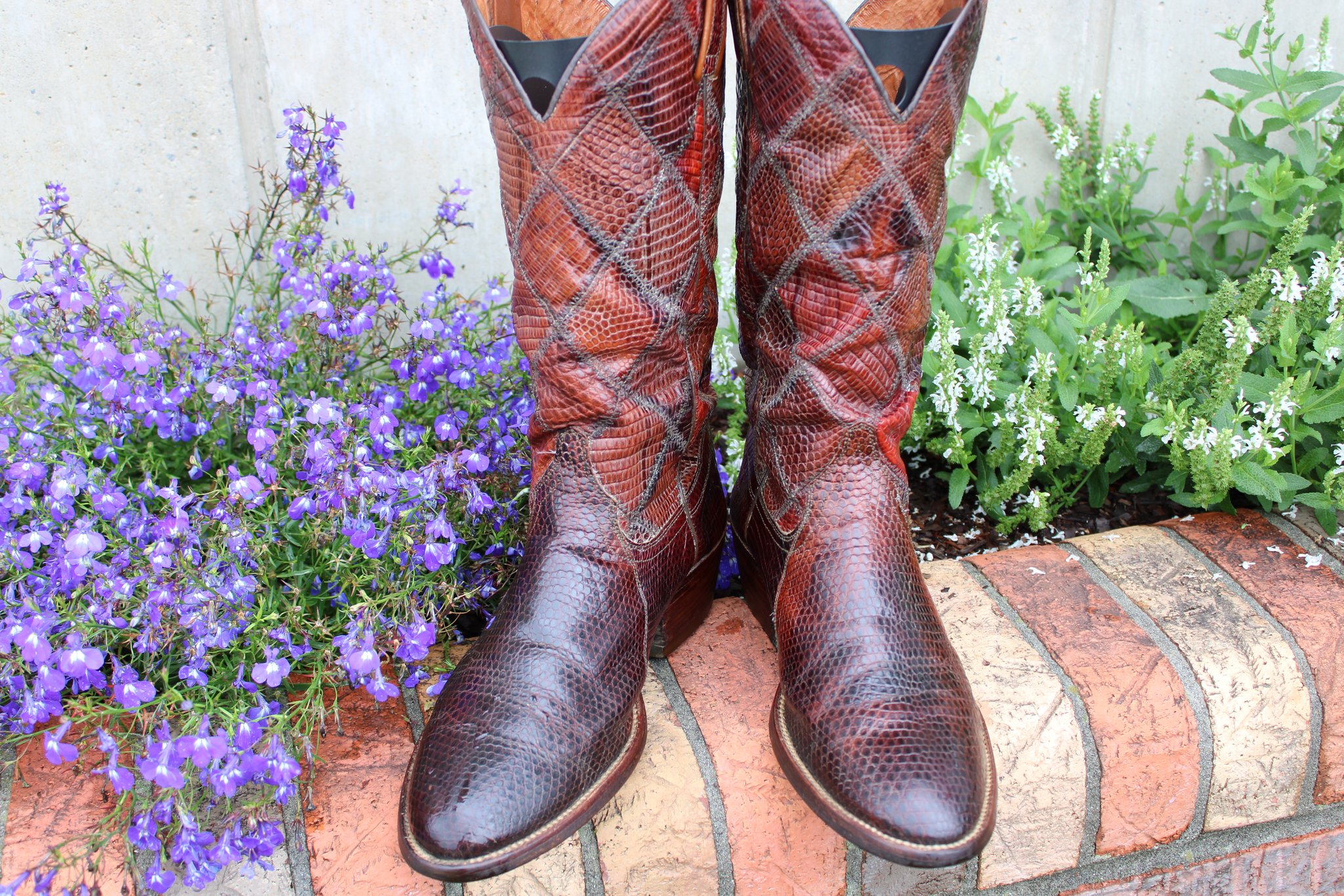 Masterson Masterson Lizard Size 9 D