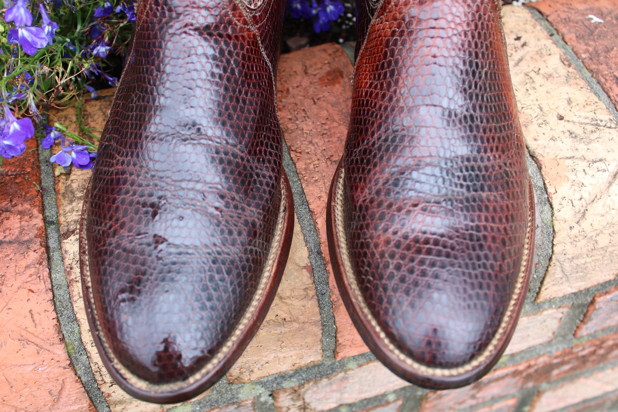Masterson Masterson Lizard Size 9 D