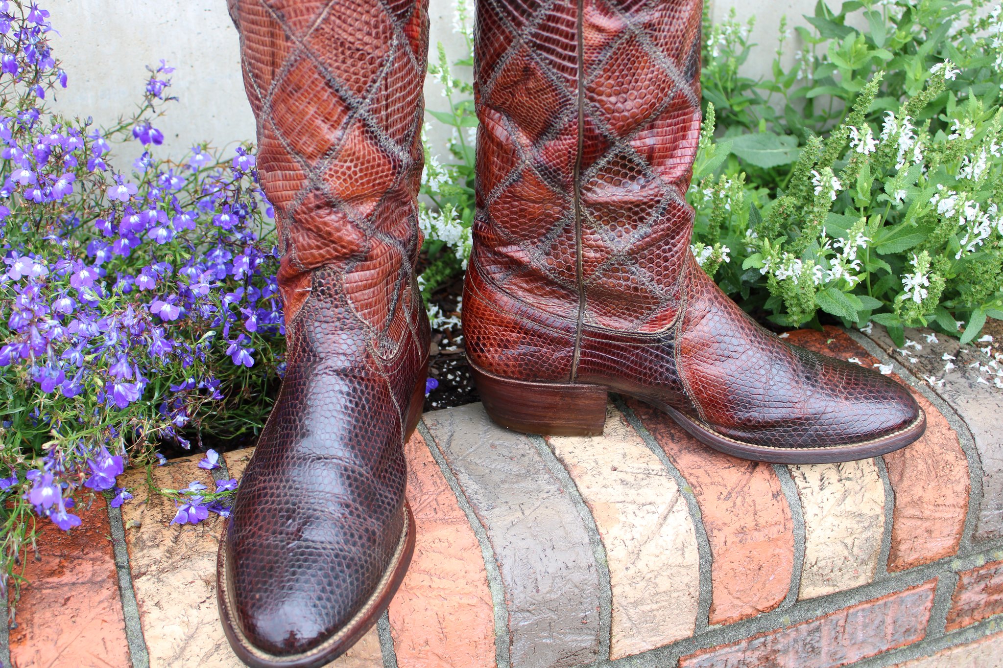 Masterson Masterson Lizard Size 9 D