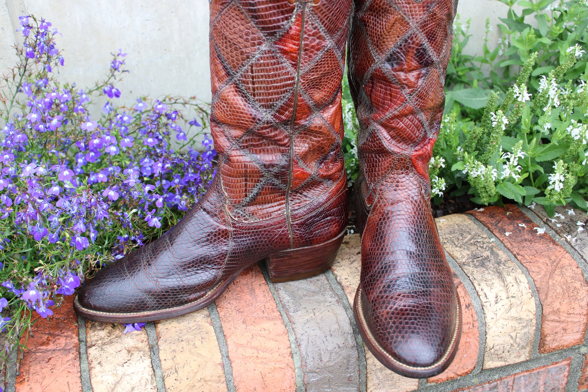 Masterson Masterson Lizard Size 9 D