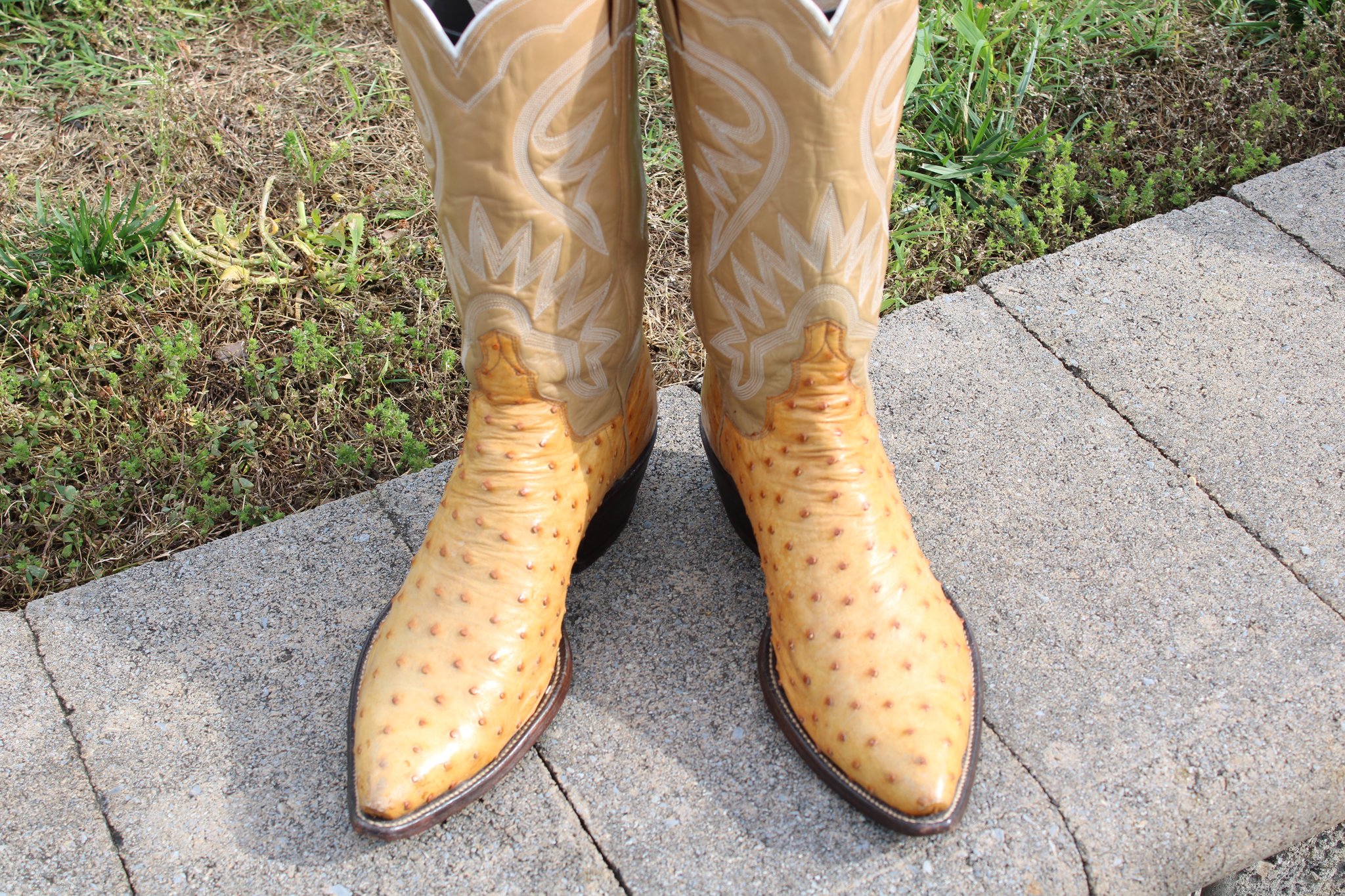 Ostrich Full Quill cut 6