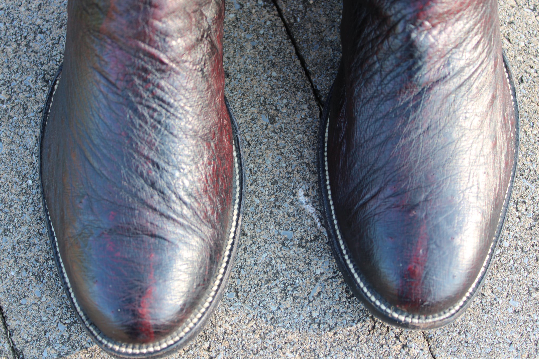 M.L. Leddy Black Cherry Smooth Ostrich 9 D