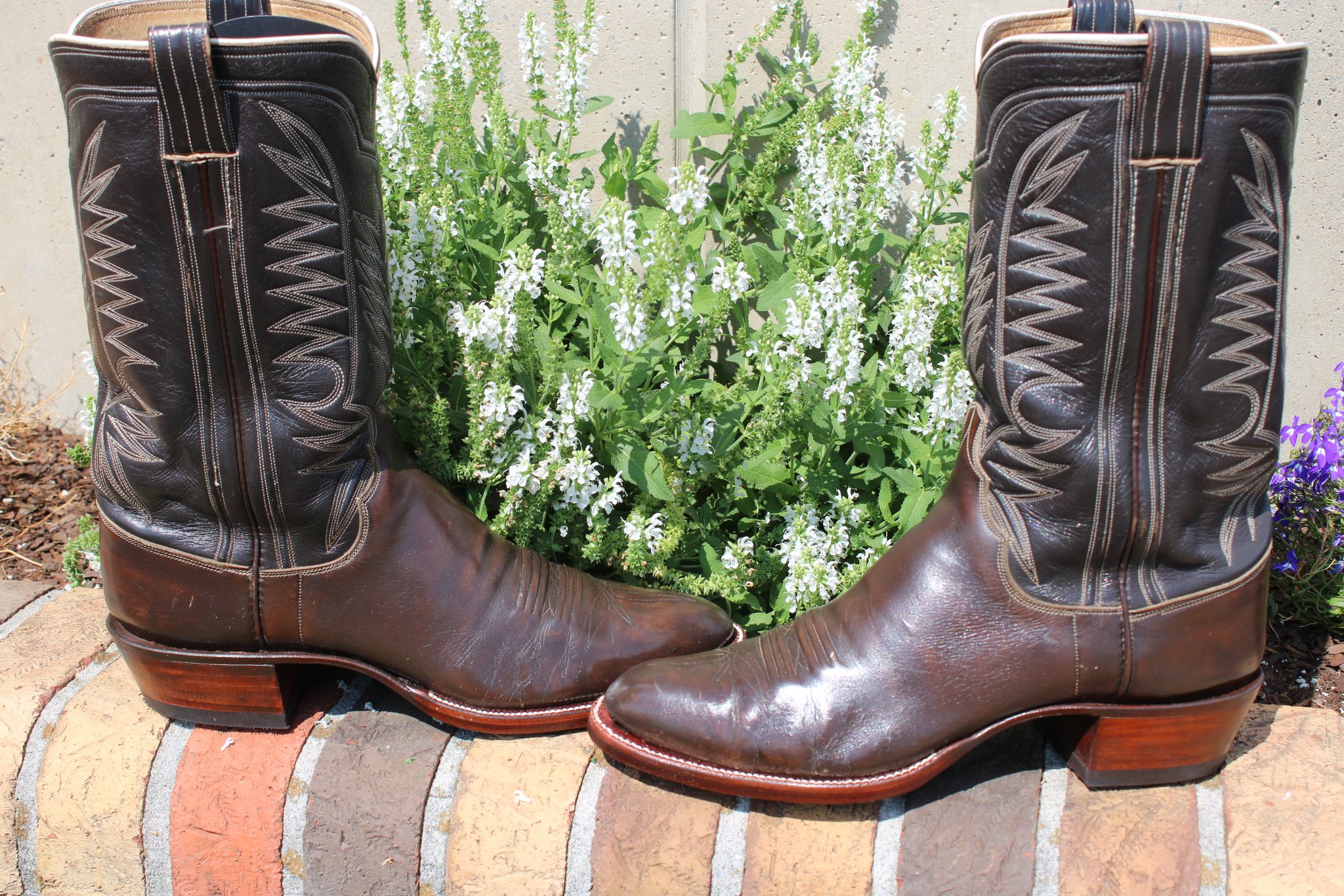 Cowhide real example 5