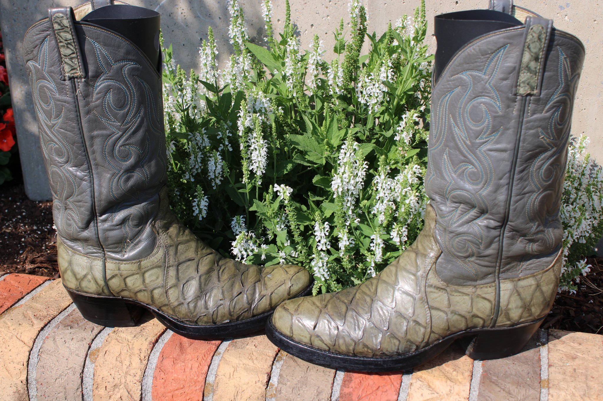Montana Montana Preban Anteater Green 485