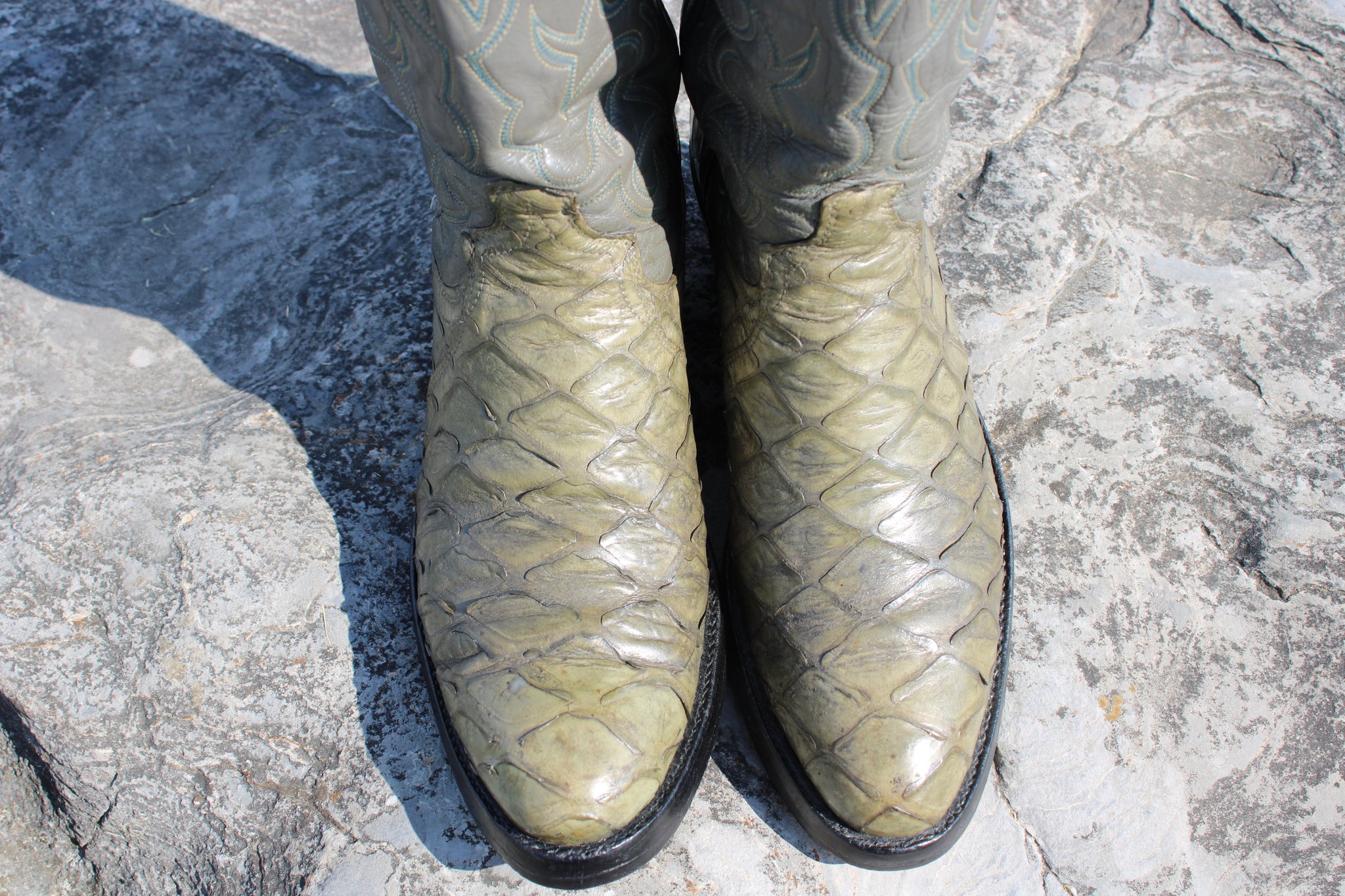 Montana Montana Preban Anteater Green 485