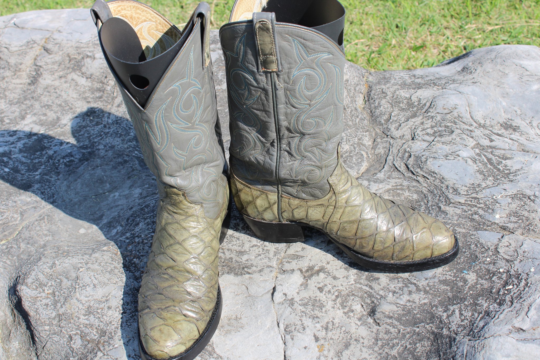 Montana Montana Preban Anteater Green 485