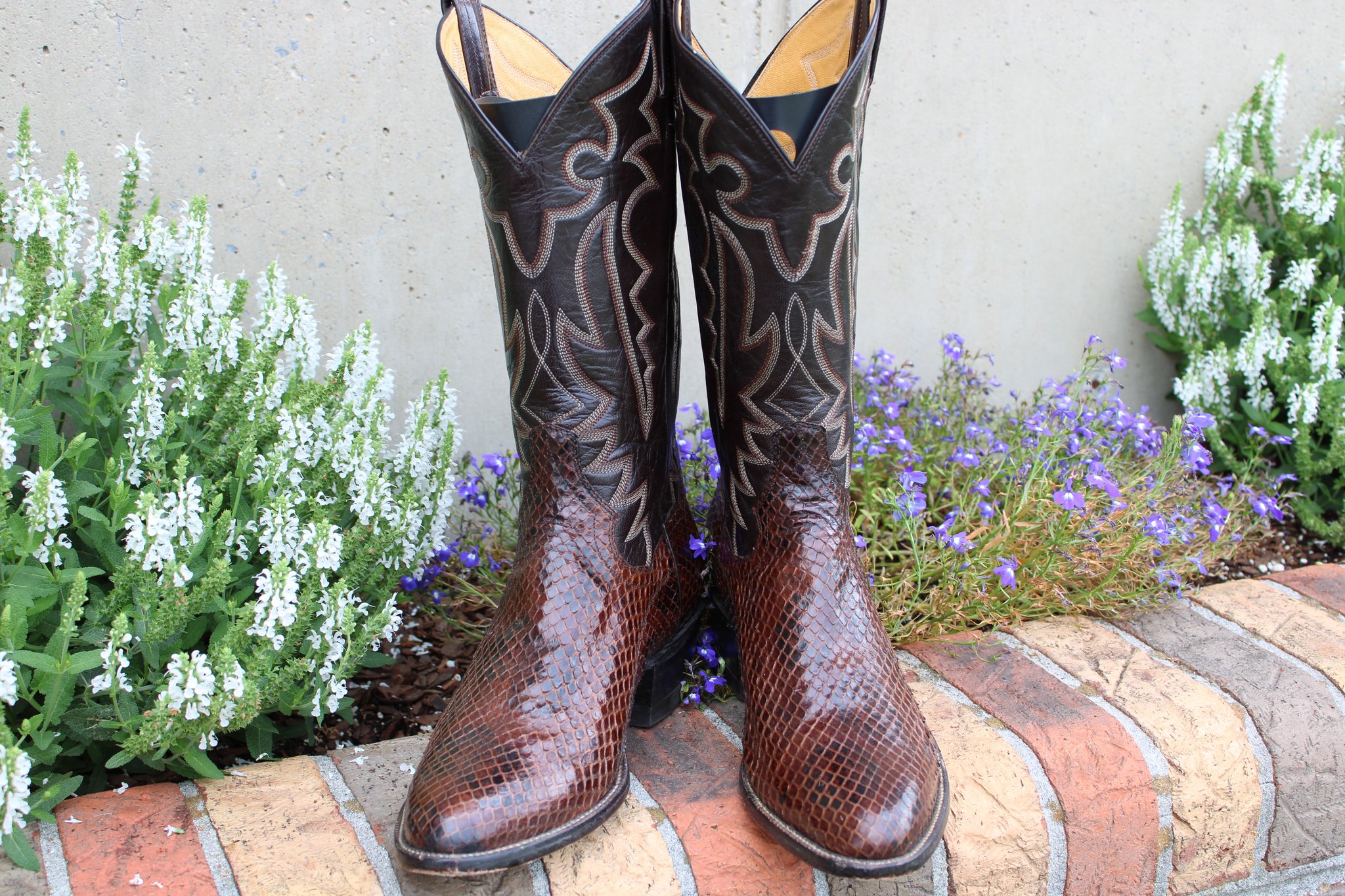 Panhandle Slim Panhandle Slim Chocolate Anaconda 9 D