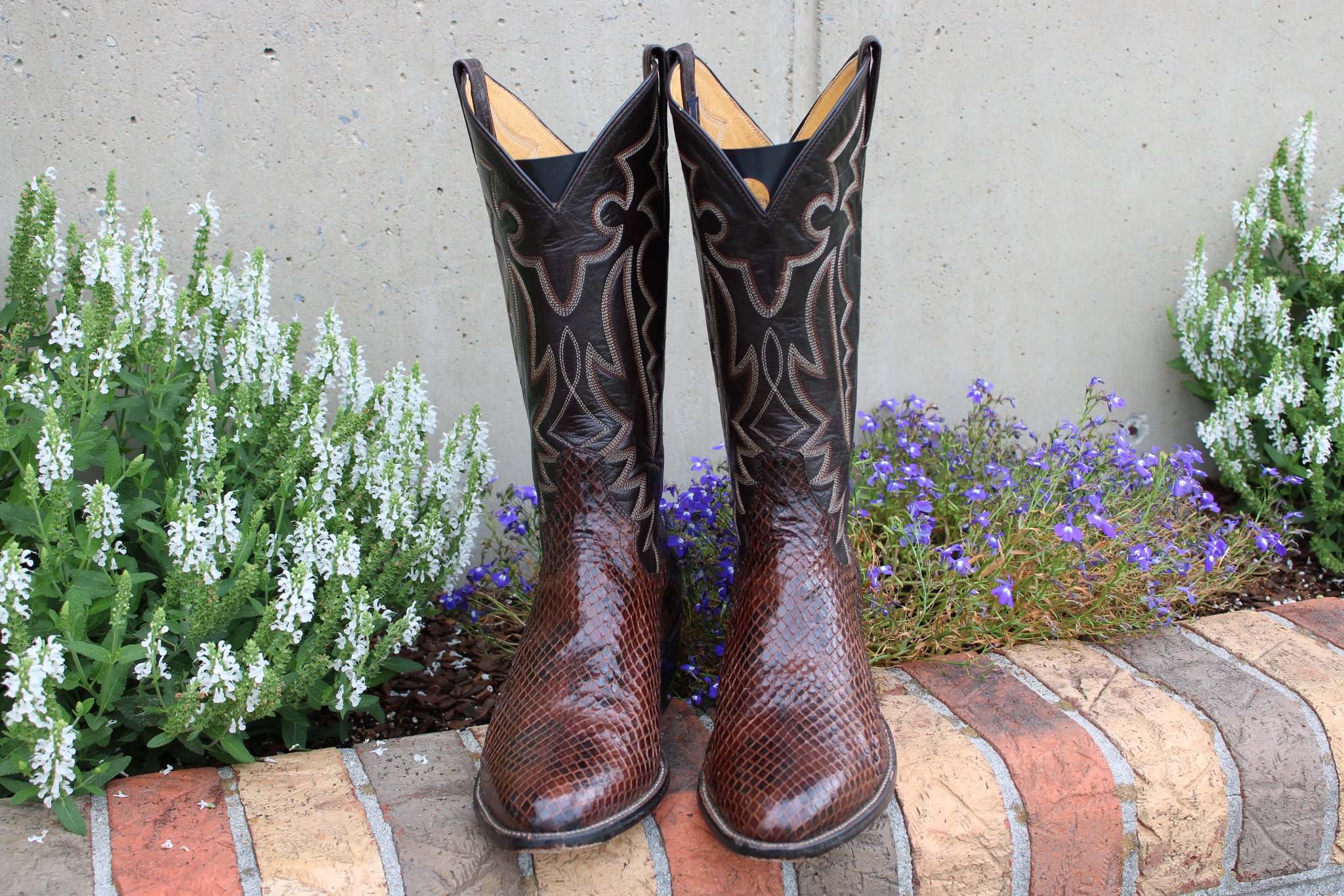 Panhandle Slim Panhandle Slim Chocolate Anaconda 9 D