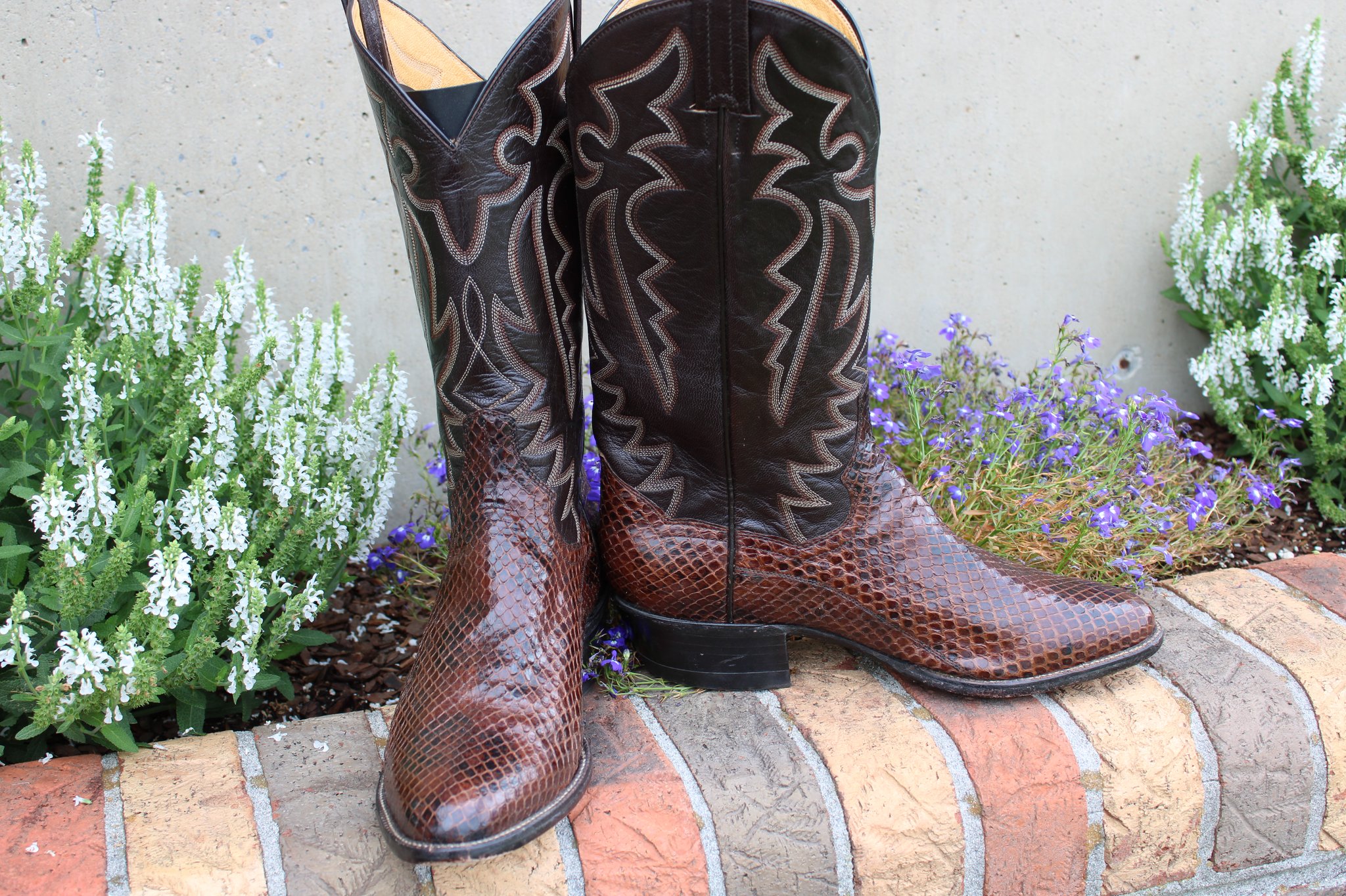 Panhandle Slim Panhandle Slim Chocolate Anaconda 9 D