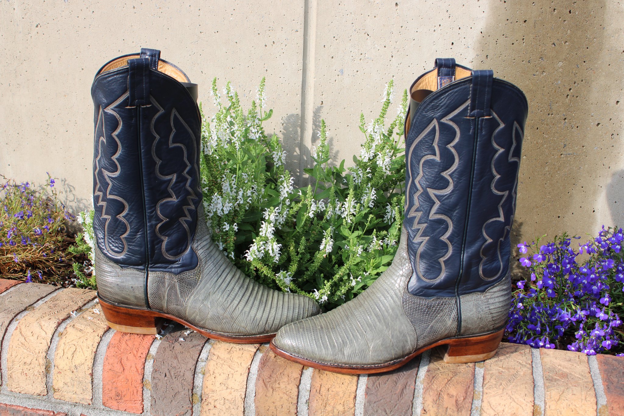 Panhandle Slim Panhandle Slim Green Lizard 10.5 D