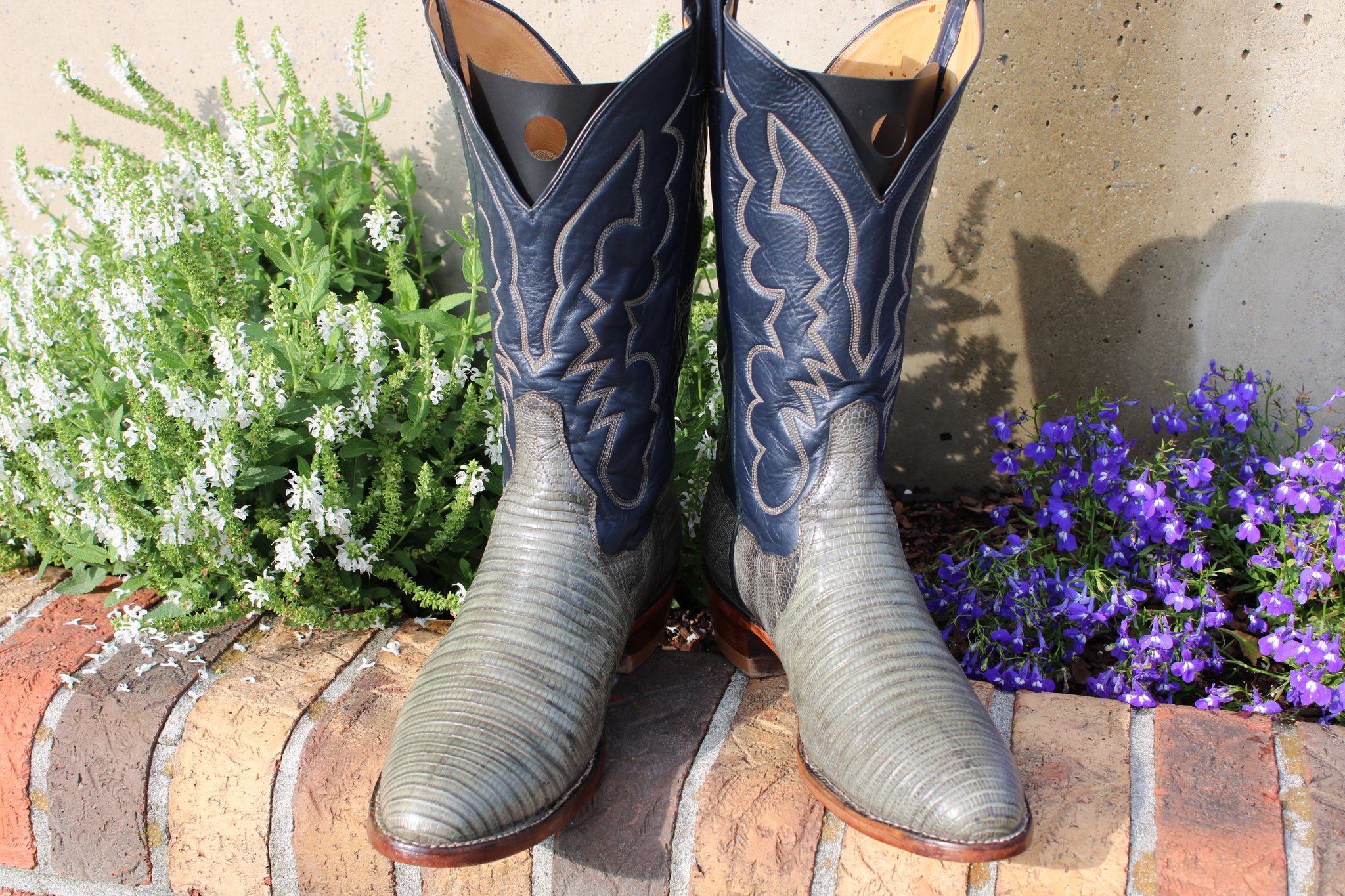 Panhandle Slim Panhandle Slim Green Lizard 10.5 D