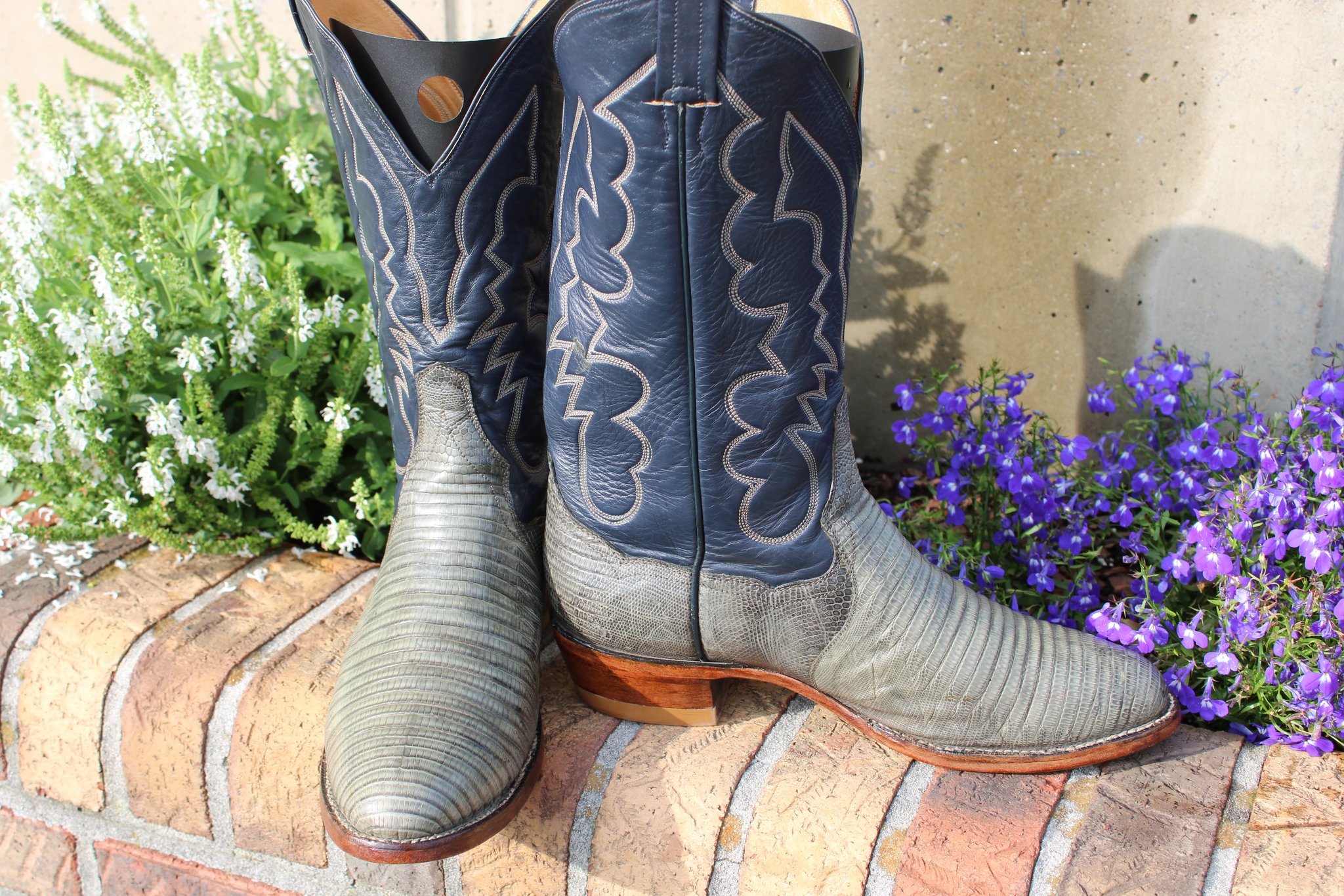 Panhandle Slim Panhandle Slim Green Lizard 10.5 D