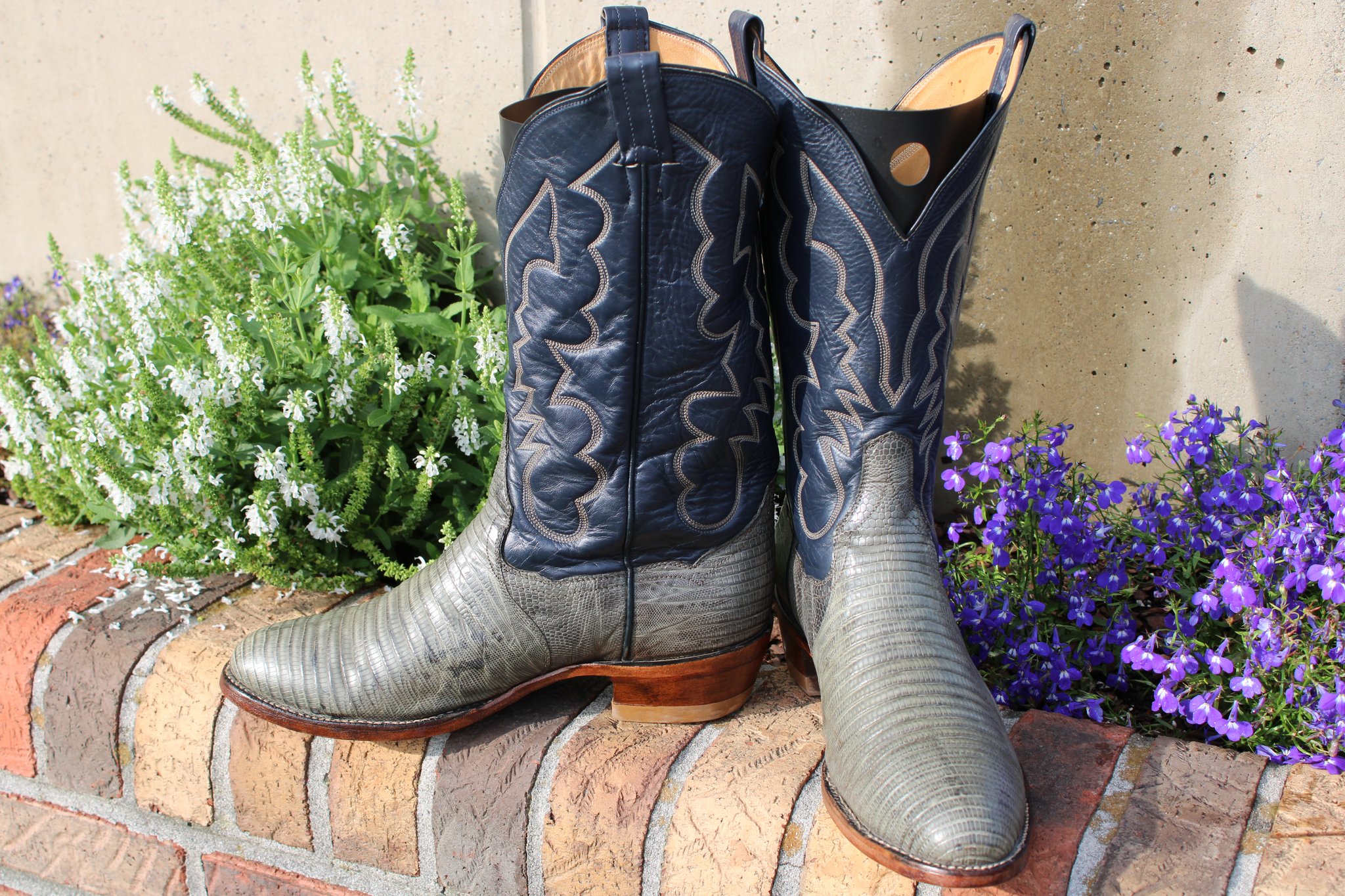 Panhandle Slim Panhandle Slim Green Lizard 10.5 D