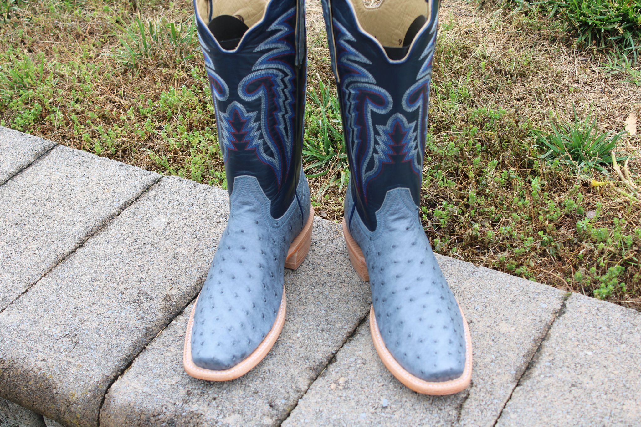 R Watson Blue Ostrich Cutter 9 D