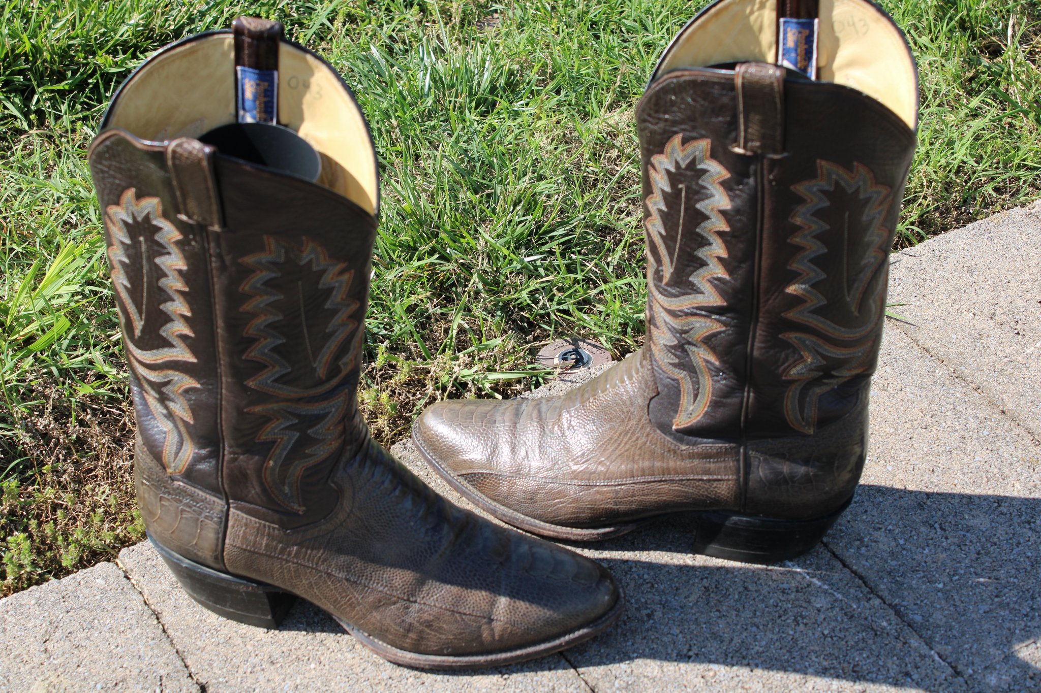 Sanders Brown Ostrich Leg 10 D