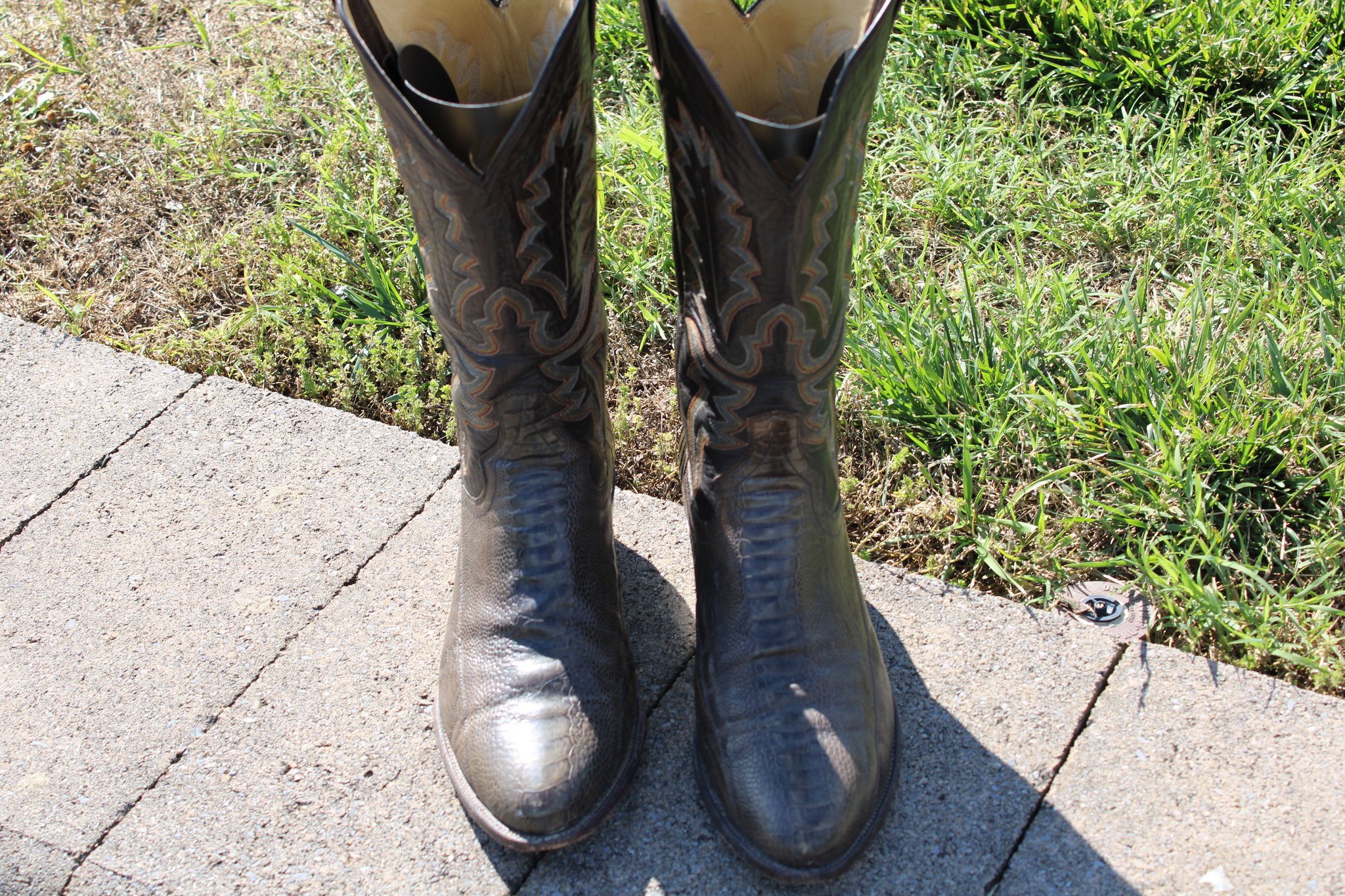 Sanders Brown Ostrich Leg 10 D