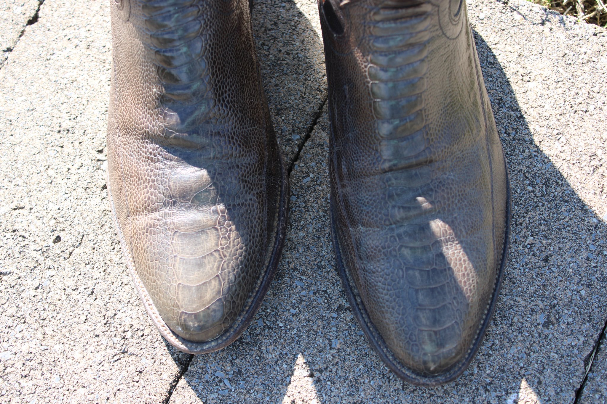 Sanders Brown Ostrich Leg 10 D