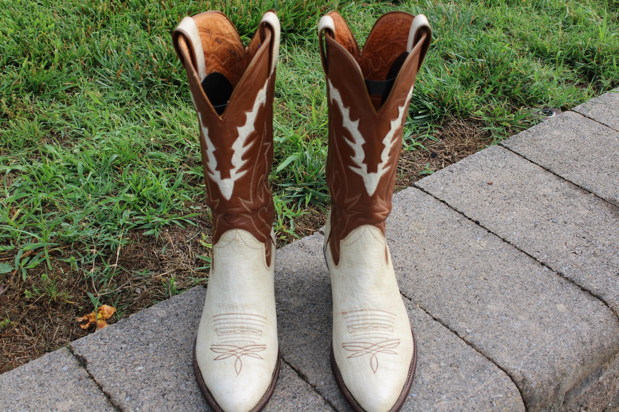 Sanders Sanders Beige Elephant 10.5 D