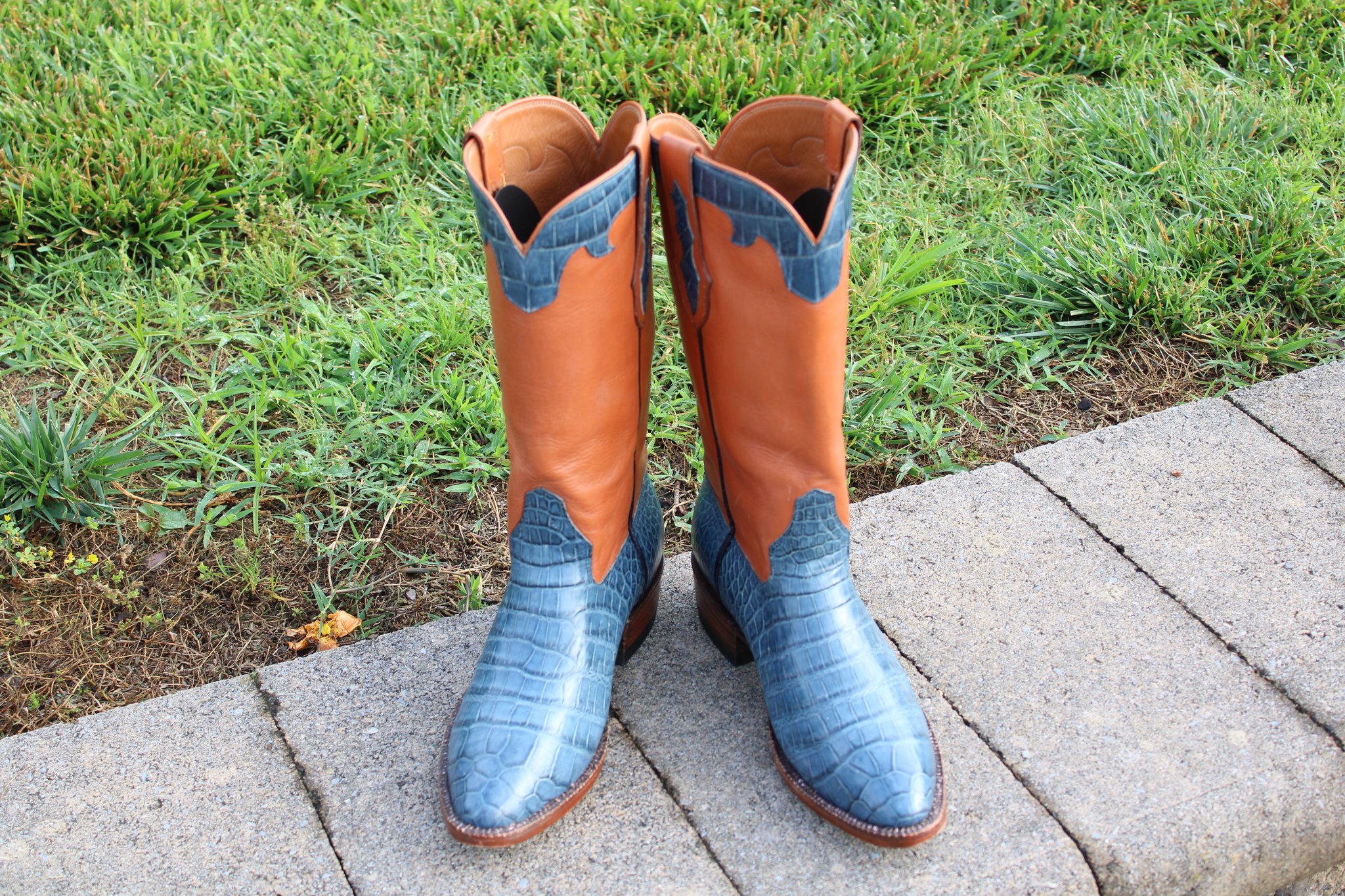 Santana's 11 Santana's JAO Blue Alligator