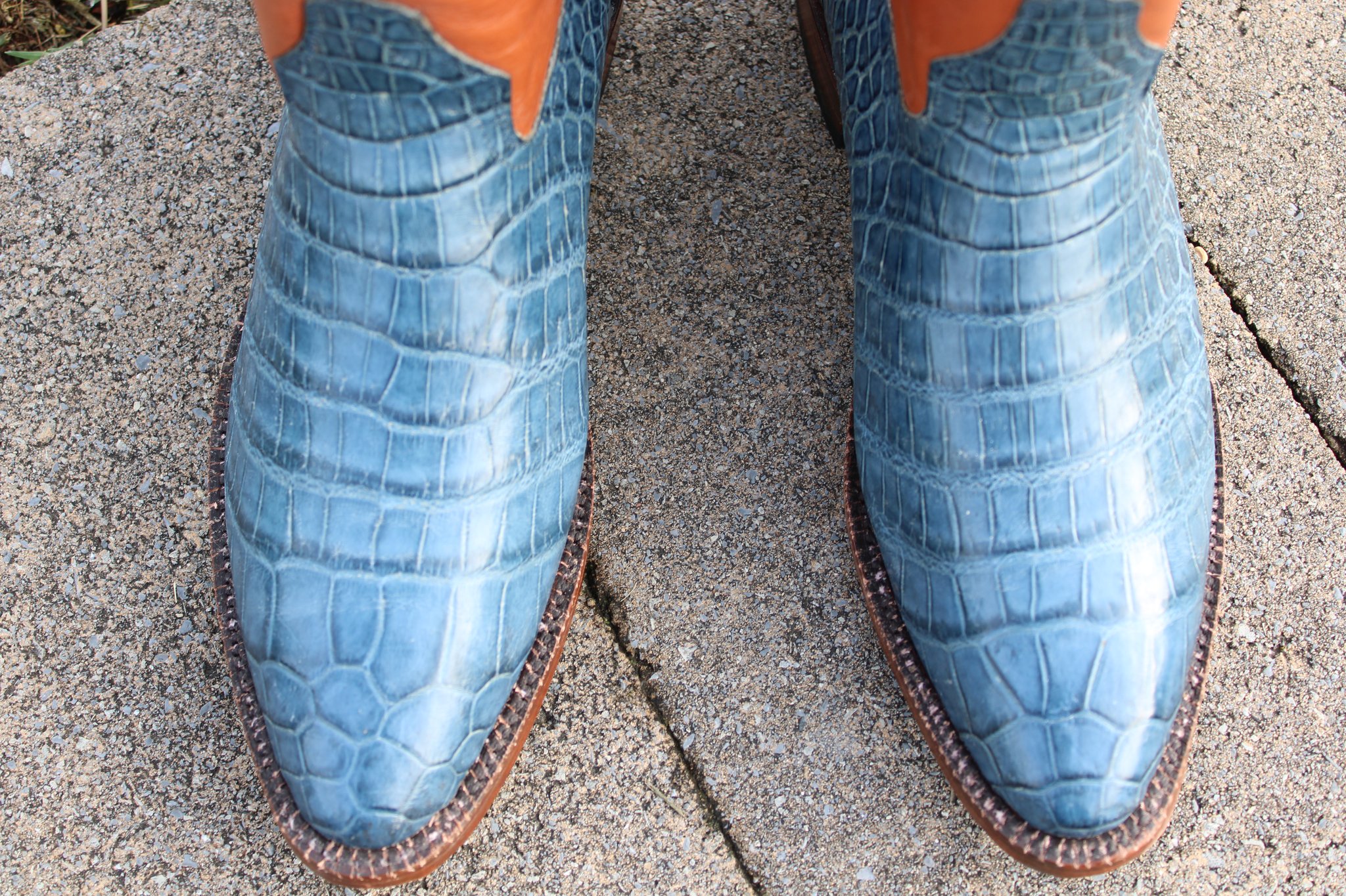 Santana's 11 Santana's JAO Blue Alligator