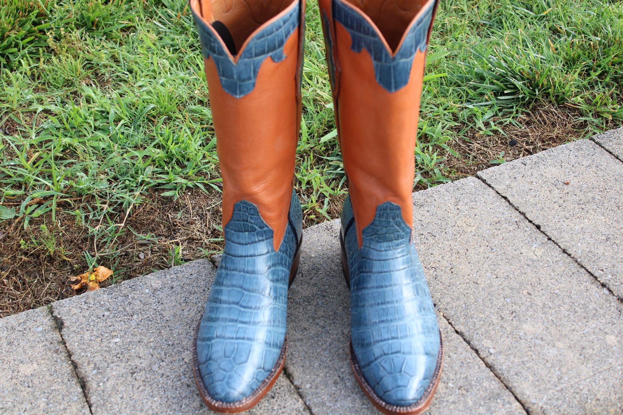 Santana's 11 Santana's JAO Blue Alligator