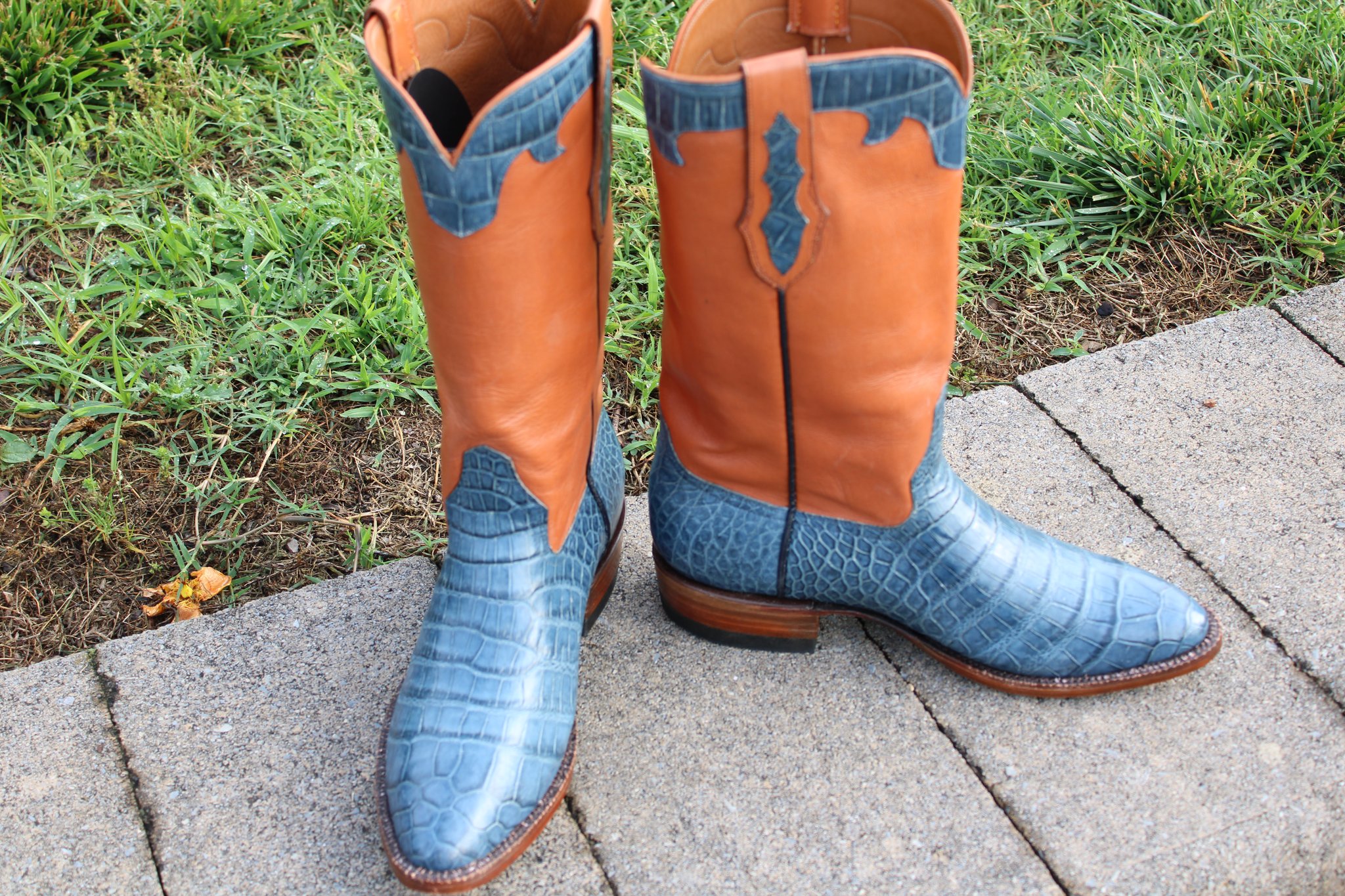 Santana's 11 Santana's JAO Blue Alligator