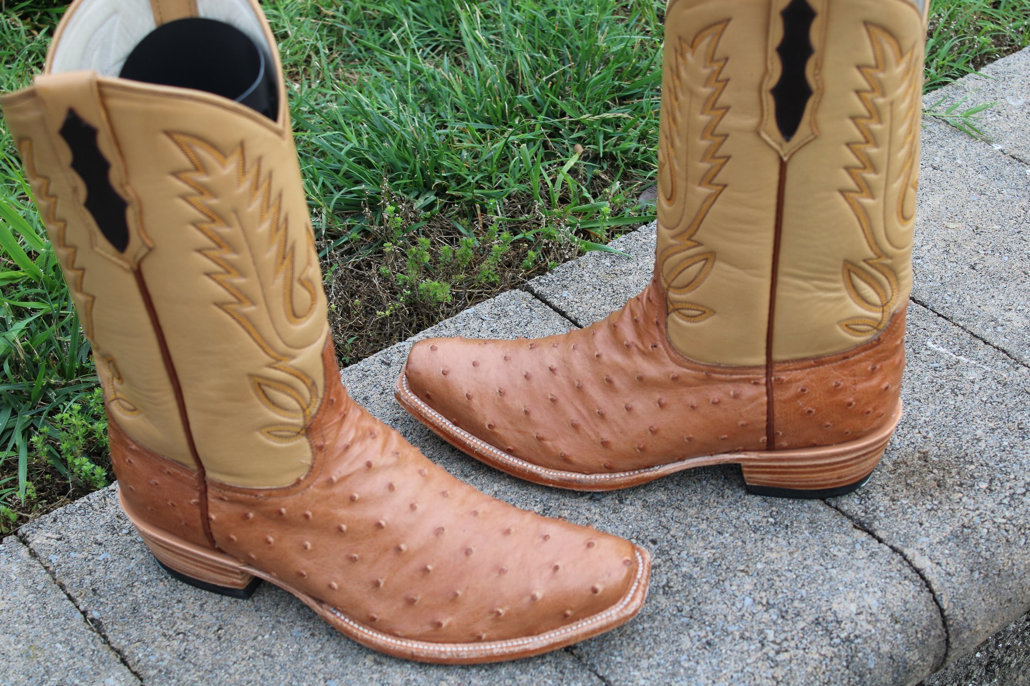 Santana's 6 Santana's Mocha Ostrich 9.5 D